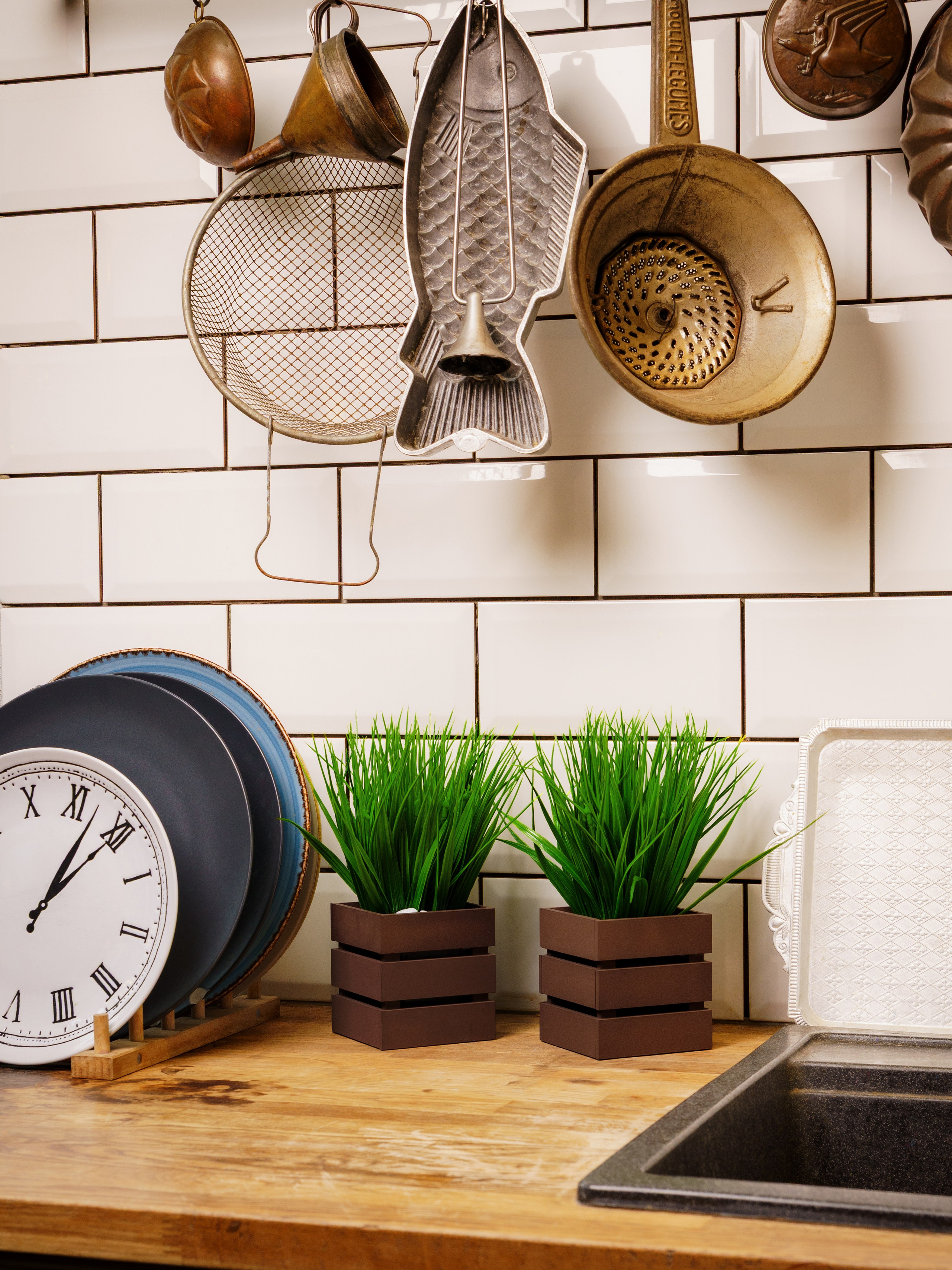 Кашпо. Макаров Сергей|Creamlebot Фотограф города Ростов-на-Дону