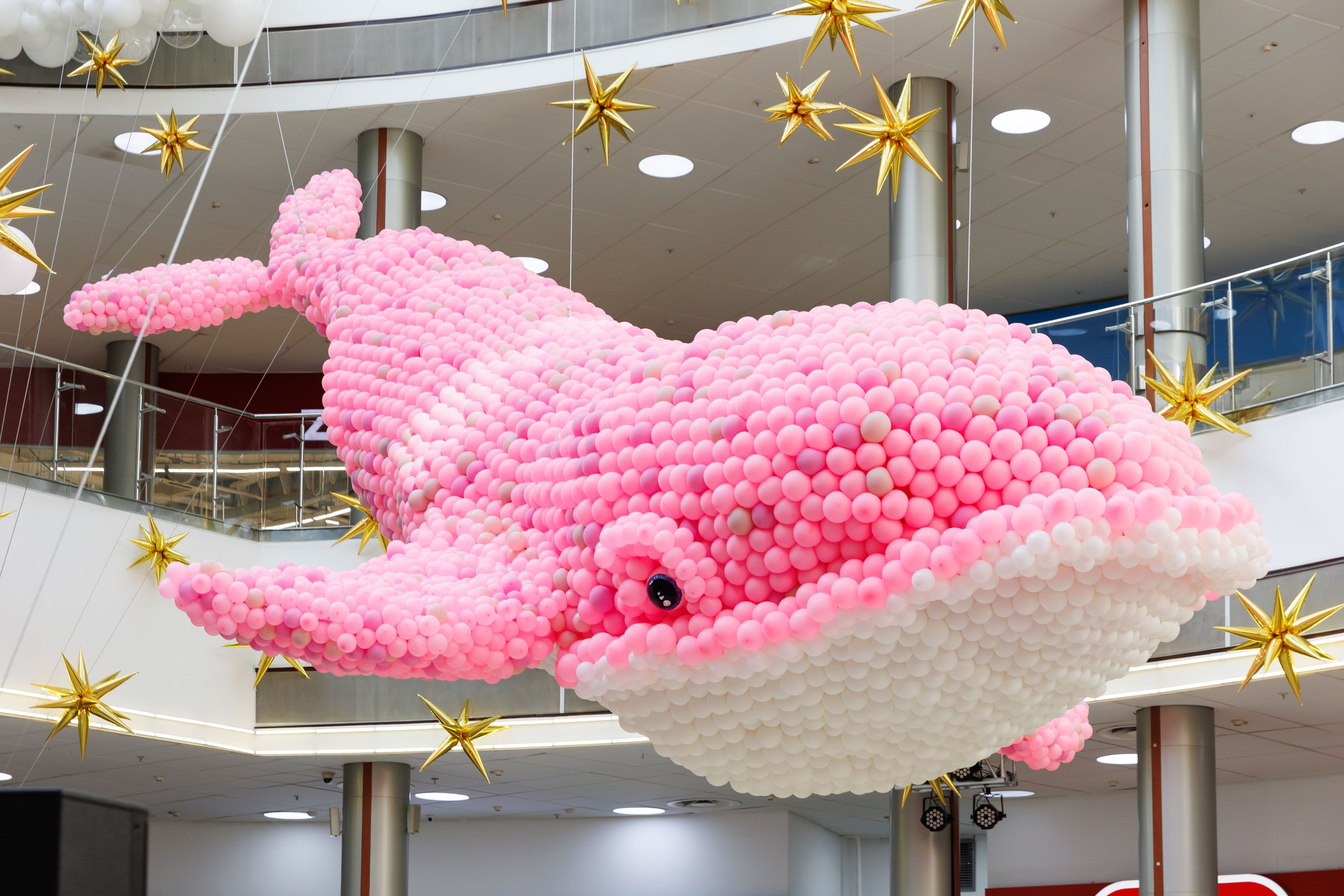 Умная весна 2025. Фотограф Новосибирск — Наталья Гресь