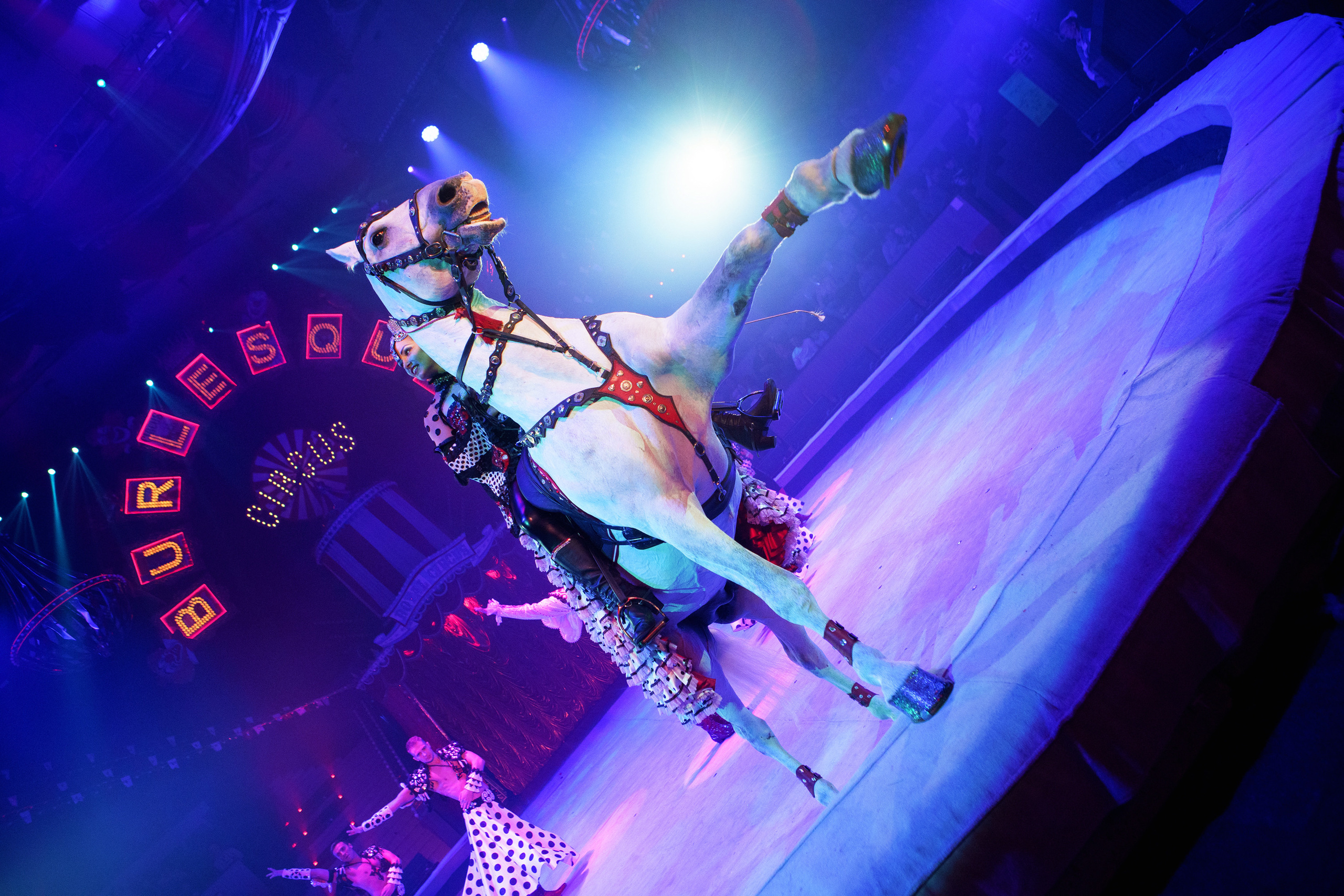 Грандиозный «БУРЛЕСК» Гии Эрадзе ВПЕРВЫЕ в Новосибирском цирке!. Фотомастерская Воробьевых