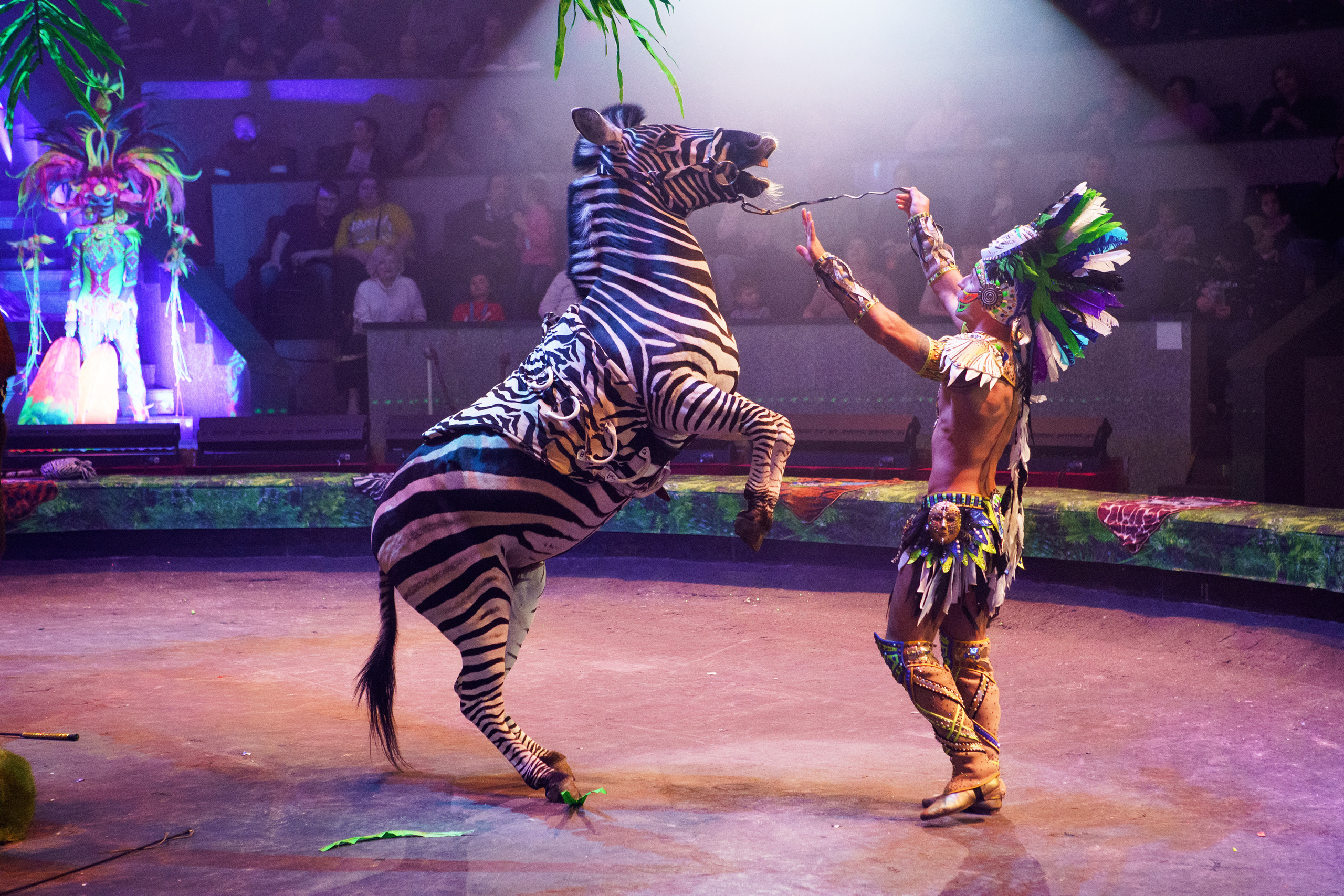 Грандиозный «БУРЛЕСК» Гии Эрадзе ВПЕРВЫЕ в Новосибирском цирке!. Фотомастерская Воробьевых