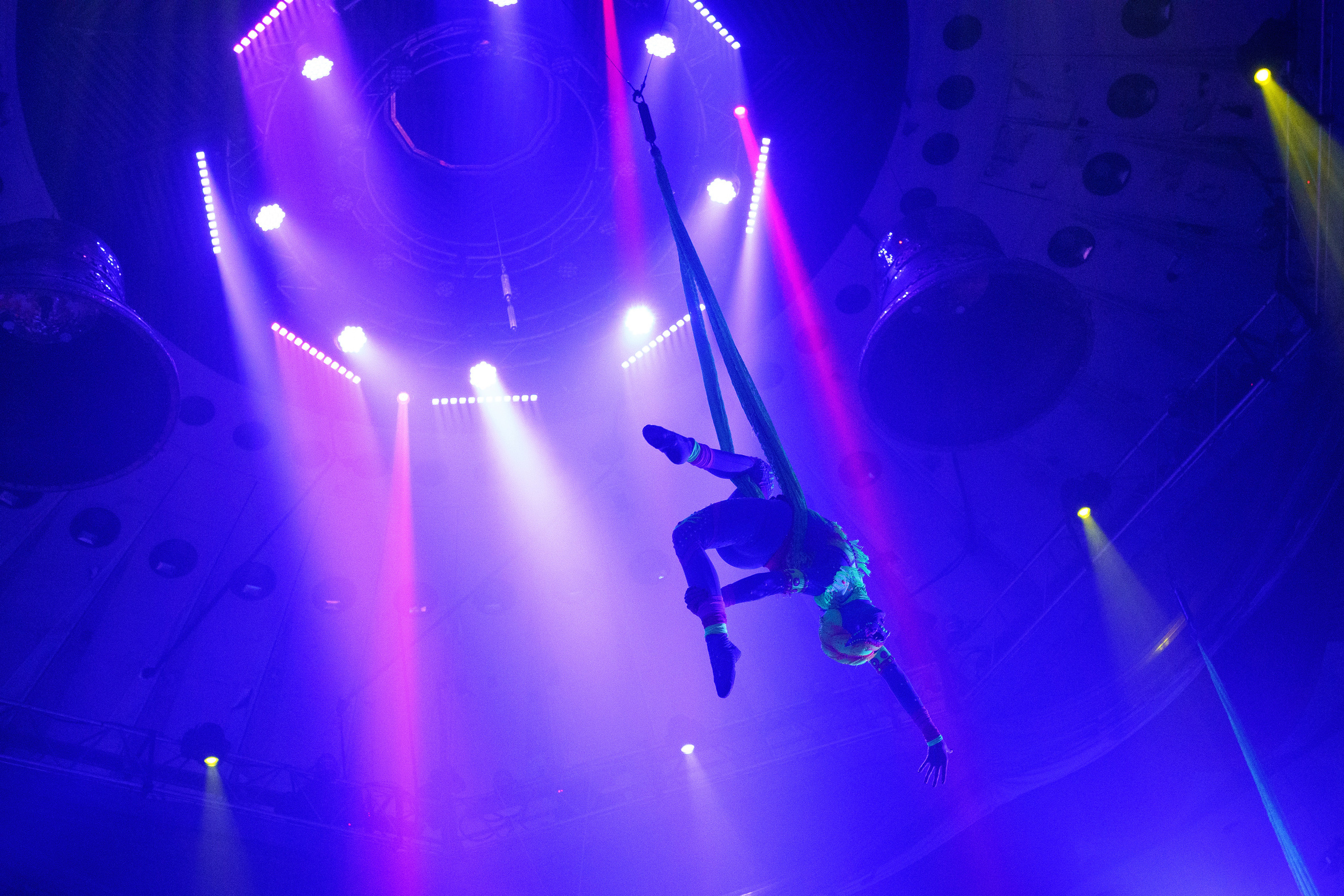 Грандиозный «БУРЛЕСК» Гии Эрадзе ВПЕРВЫЕ в Новосибирском цирке!. Фотомастерская Воробьевых