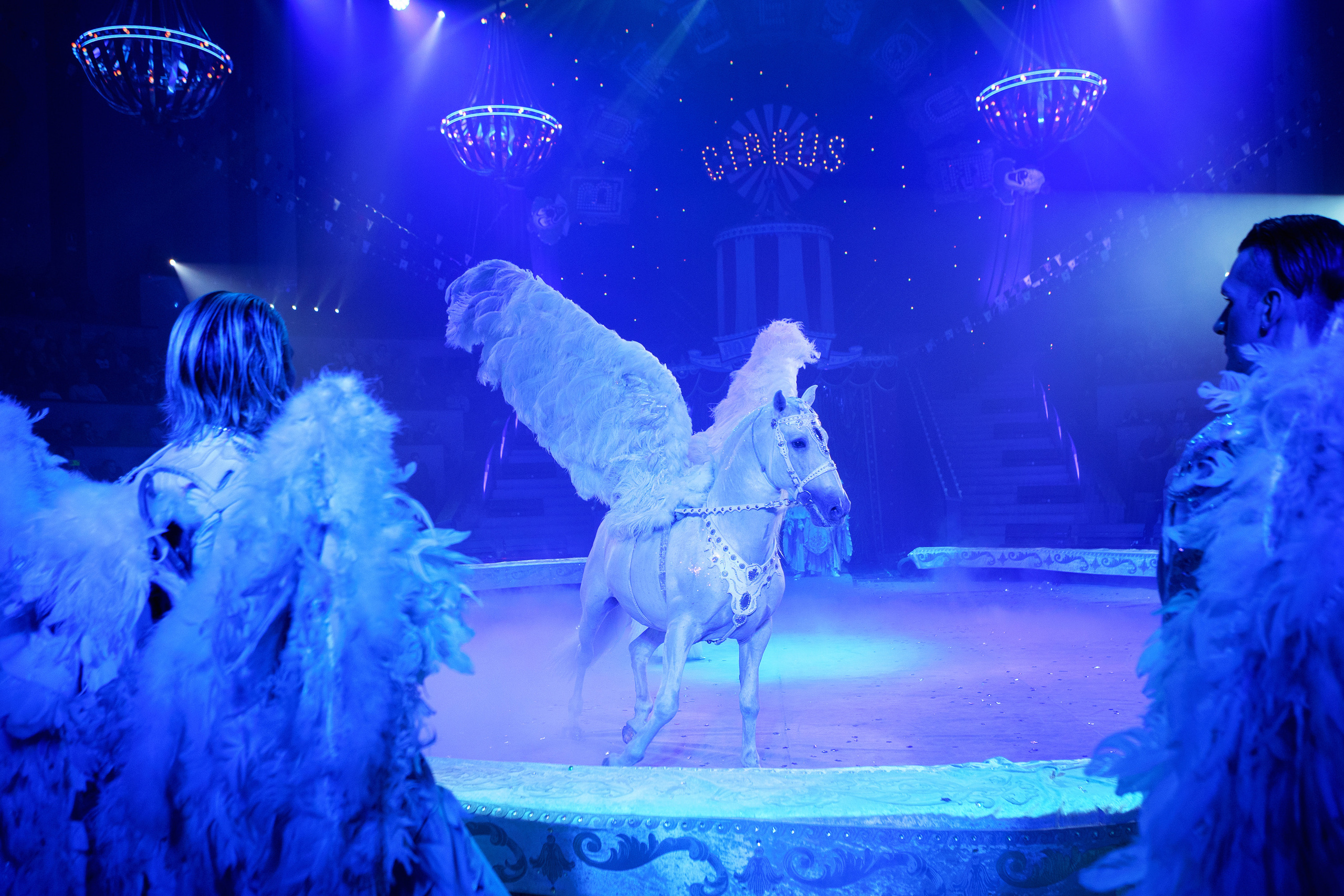 Грандиозный «БУРЛЕСК» Гии Эрадзе ВПЕРВЫЕ в Новосибирском цирке!. Фотомастерская Воробьевых