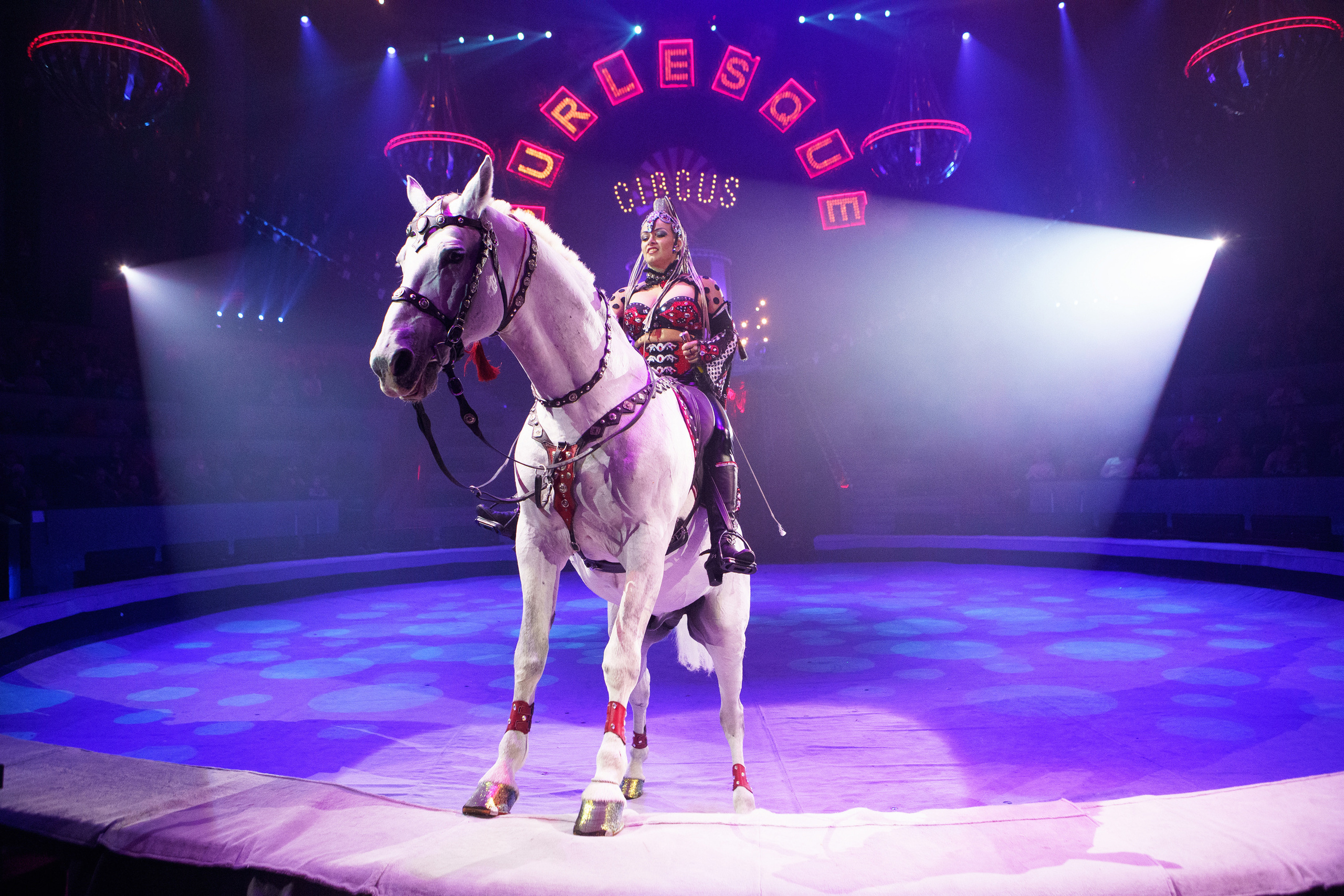 Грандиозный «БУРЛЕСК» Гии Эрадзе ВПЕРВЫЕ в Новосибирском цирке!. Фотомастерская Воробьевых