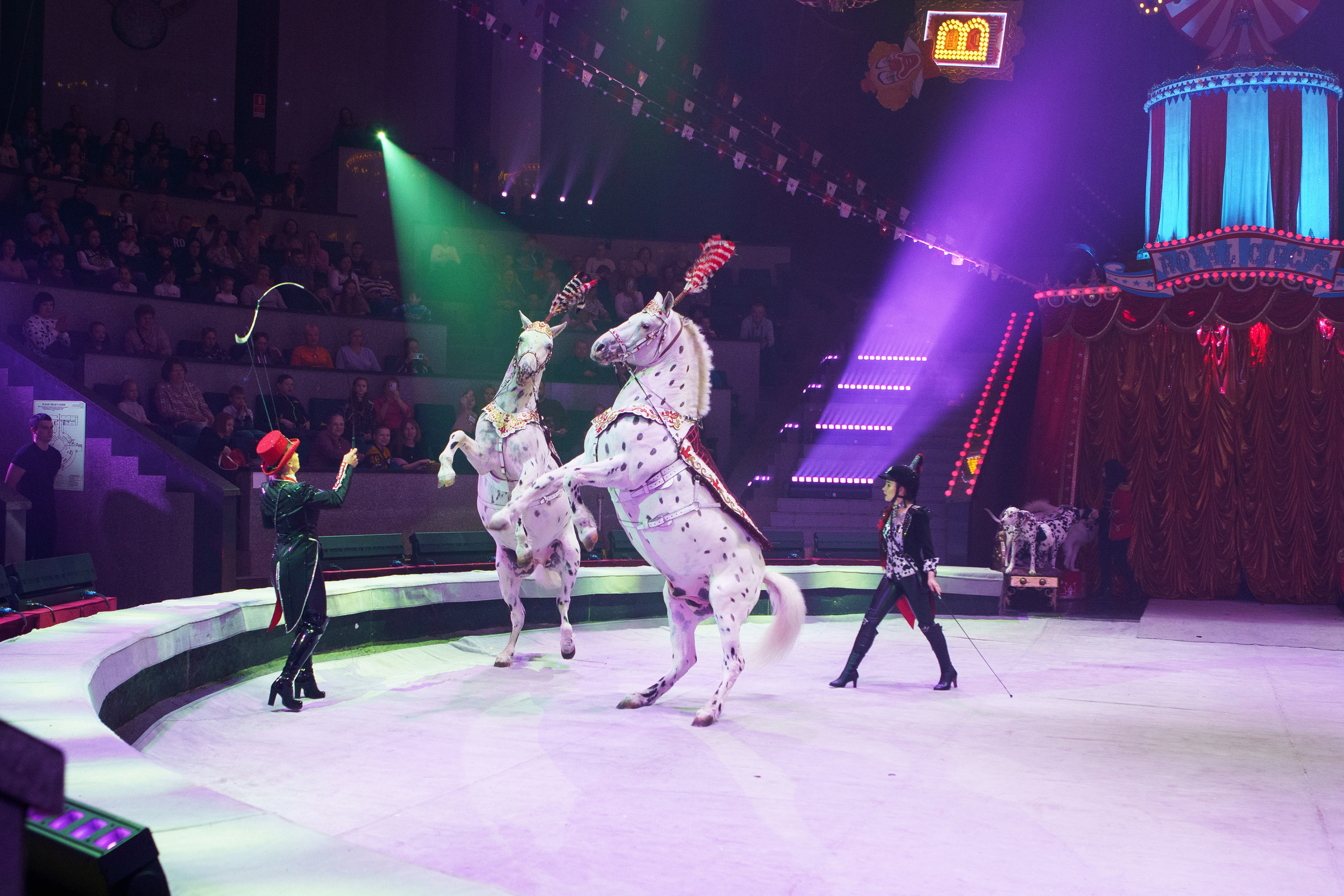 Грандиозный «БУРЛЕСК» Гии Эрадзе ВПЕРВЫЕ в Новосибирском цирке!. Фотомастерская Воробьевых