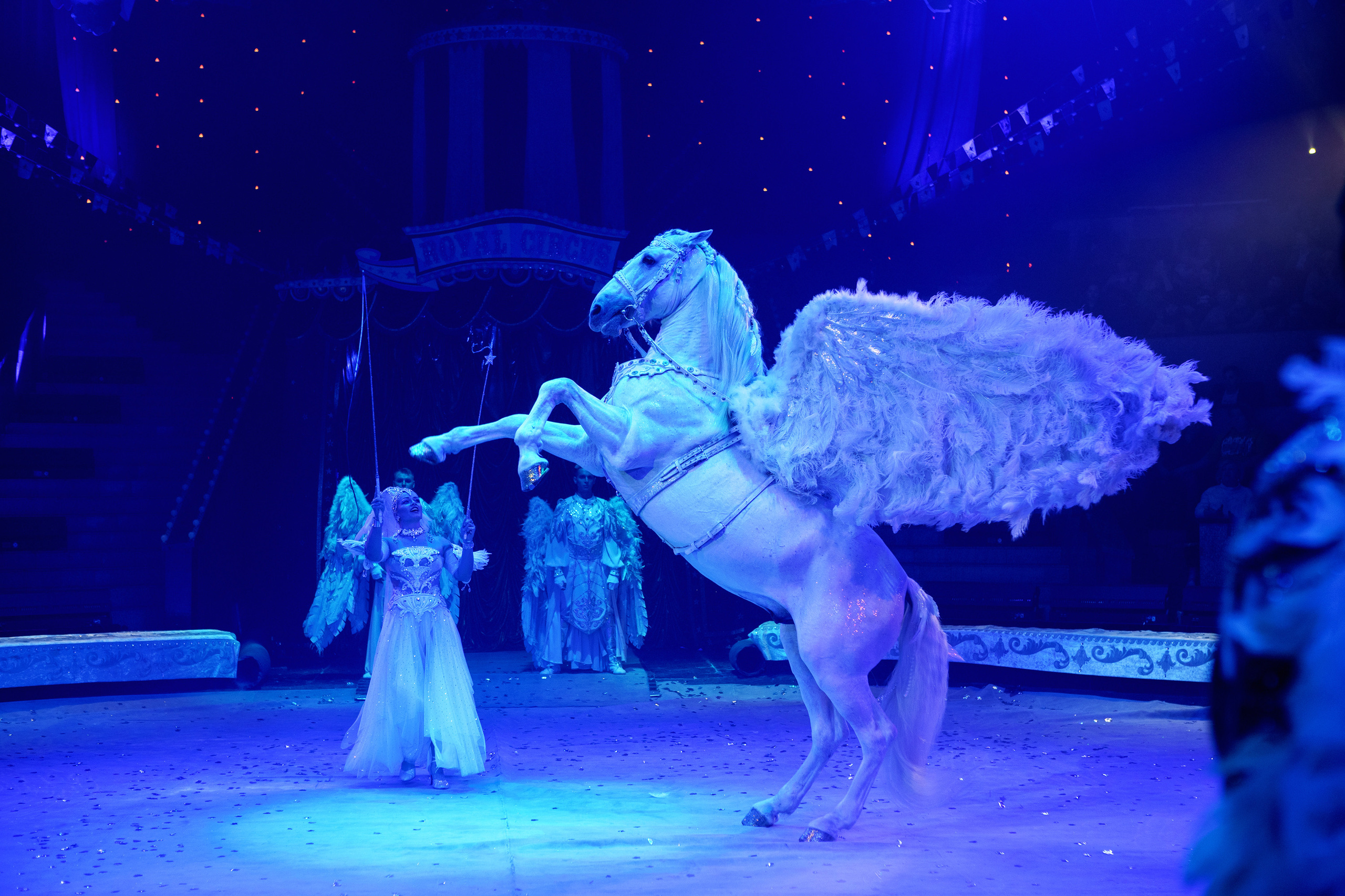 Грандиозный «БУРЛЕСК» Гии Эрадзе ВПЕРВЫЕ в Новосибирском цирке!. Фотомастерская Воробьевых