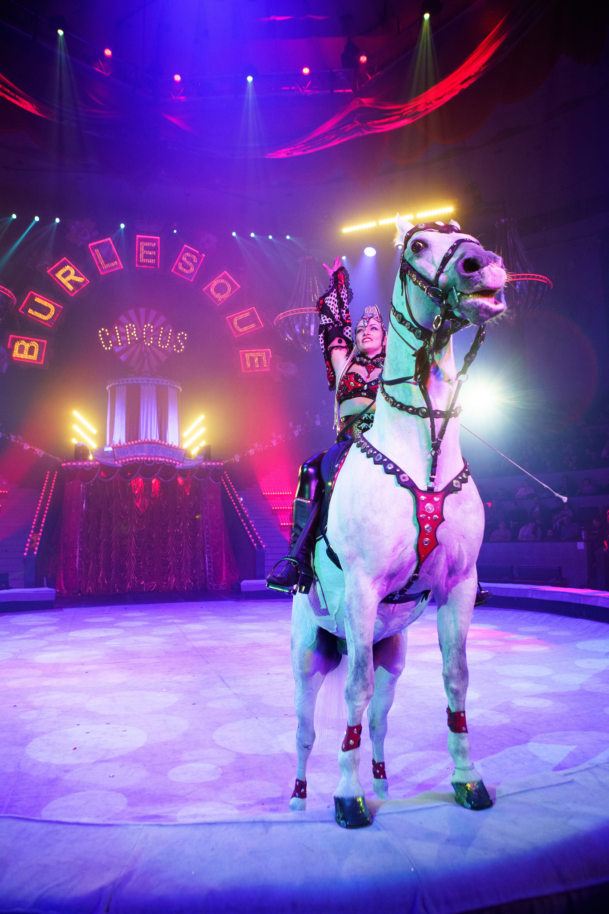 Грандиозный «БУРЛЕСК» Гии Эрадзе ВПЕРВЫЕ в Новосибирском цирке!. Фотомастерская Воробьевых