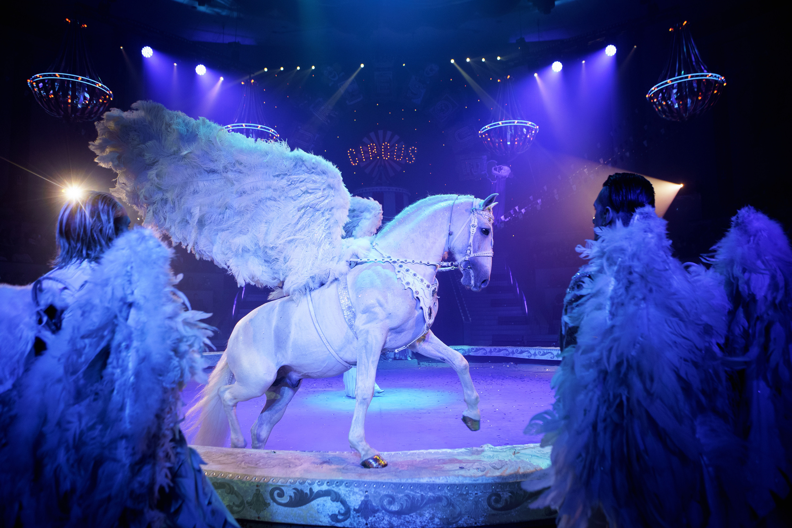 Грандиозный «БУРЛЕСК» Гии Эрадзе ВПЕРВЫЕ в Новосибирском цирке!. Фотомастерская Воробьевых