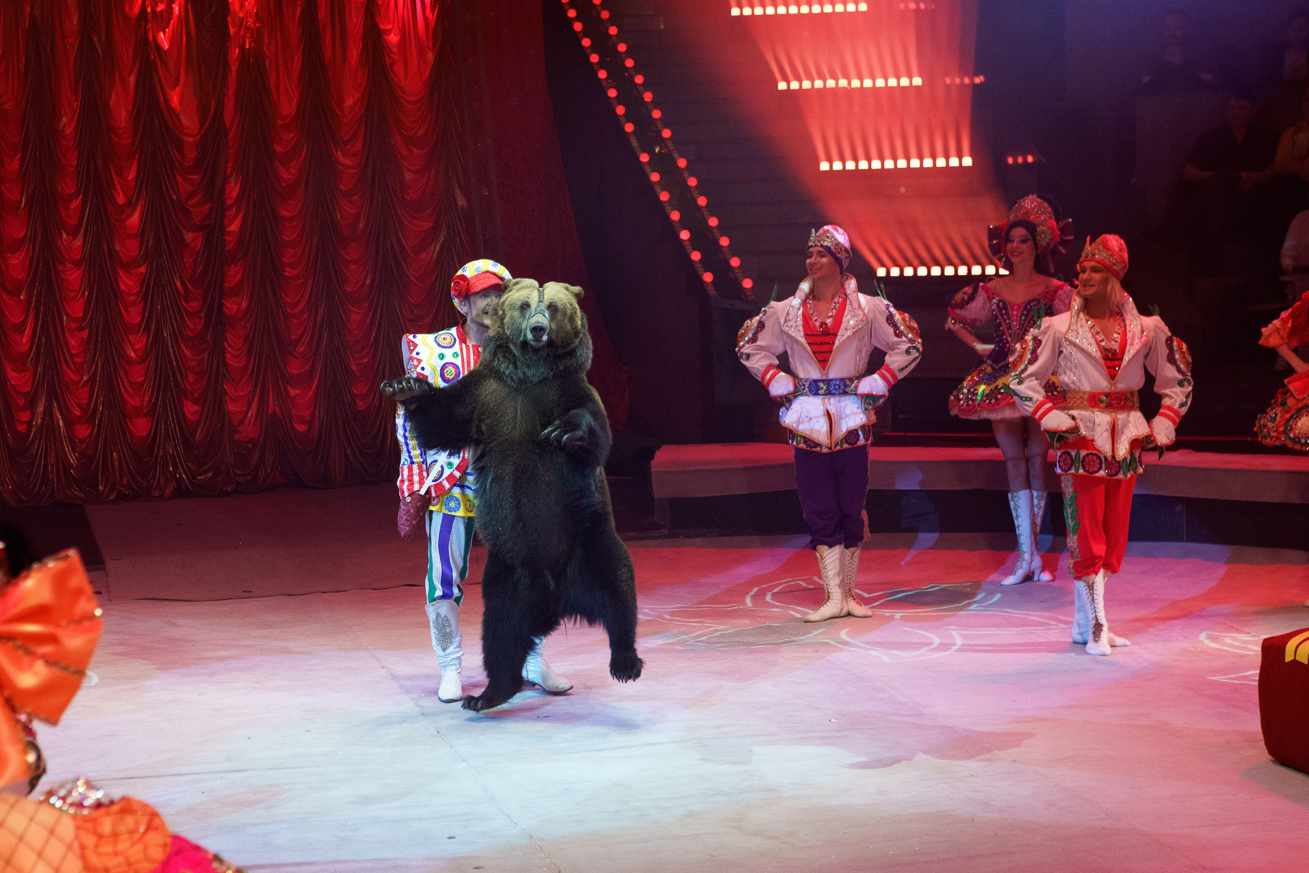 Грандиозный «БУРЛЕСК» Гии Эрадзе ВПЕРВЫЕ в Новосибирском цирке!. Фотомастерская Воробьевых