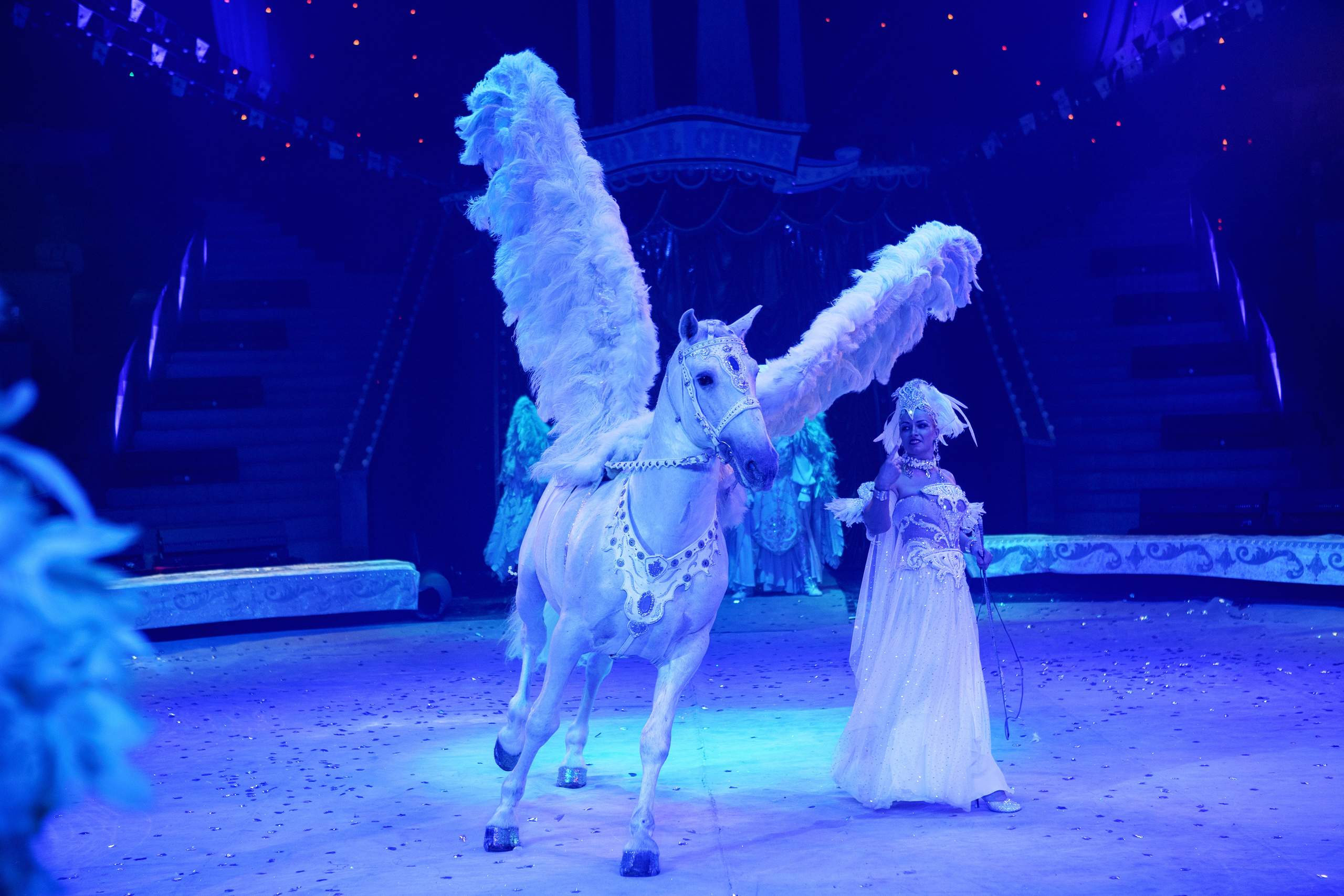 Грандиозный «БУРЛЕСК» Гии Эрадзе ВПЕРВЫЕ в Новосибирском цирке!. Фотомастерская Воробьевых