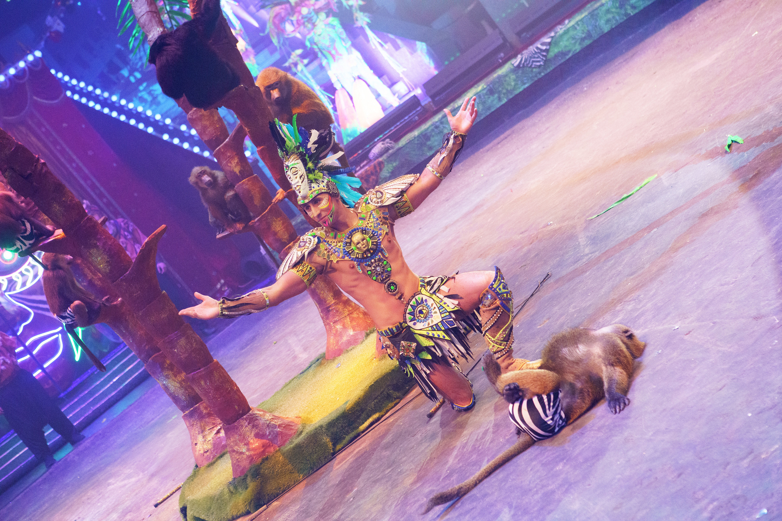 Грандиозный «БУРЛЕСК» Гии Эрадзе ВПЕРВЫЕ в Новосибирском цирке!. Фотомастерская Воробьевых