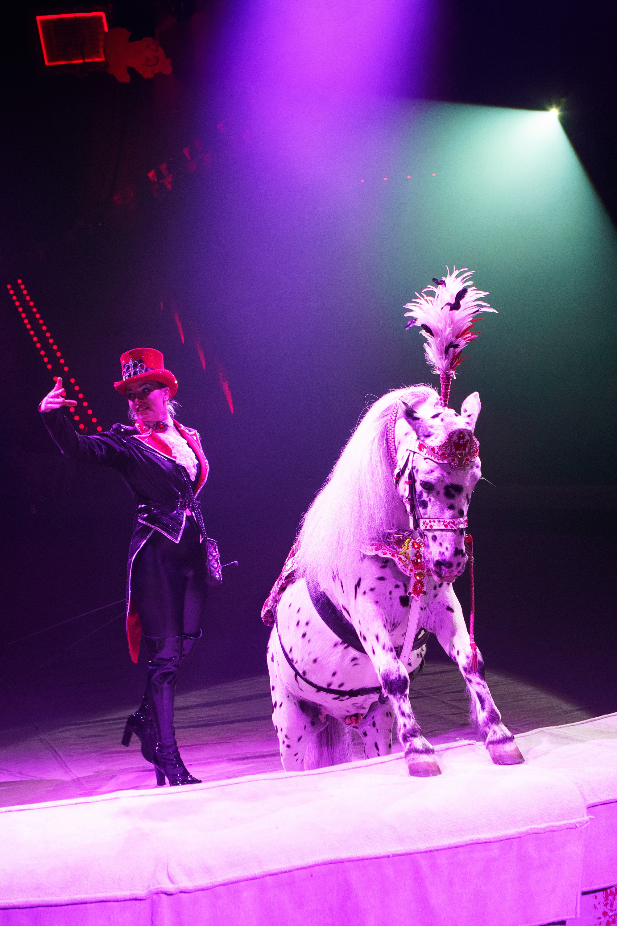 Грандиозный «БУРЛЕСК» Гии Эрадзе ВПЕРВЫЕ в Новосибирском цирке!. Фотомастерская Воробьевых