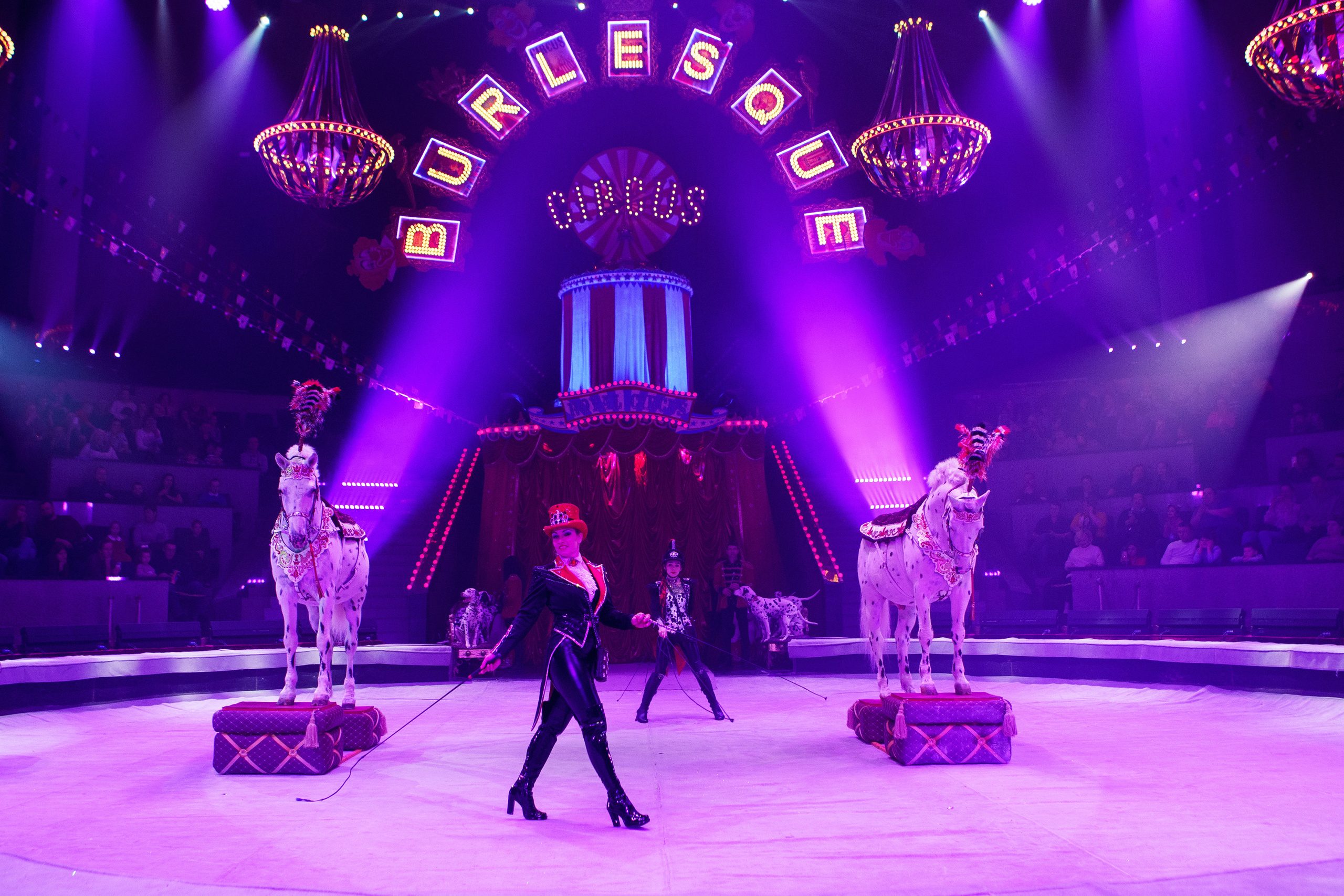Грандиозный «БУРЛЕСК» Гии Эрадзе ВПЕРВЫЕ в Новосибирском цирке!. Фотомастерская Воробьевых