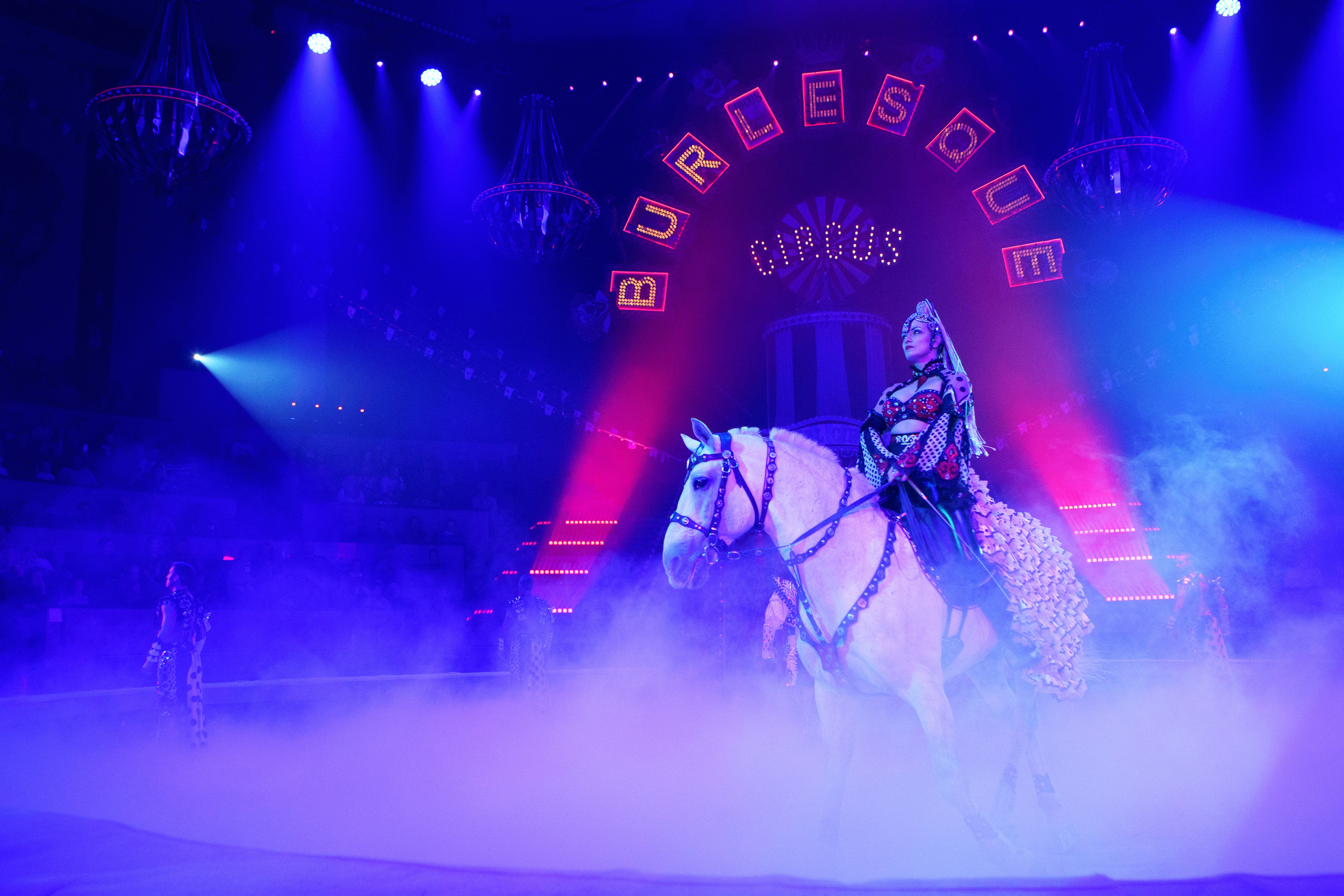 Грандиозный «БУРЛЕСК» Гии Эрадзе ВПЕРВЫЕ в Новосибирском цирке!. Фотомастерская Воробьевых