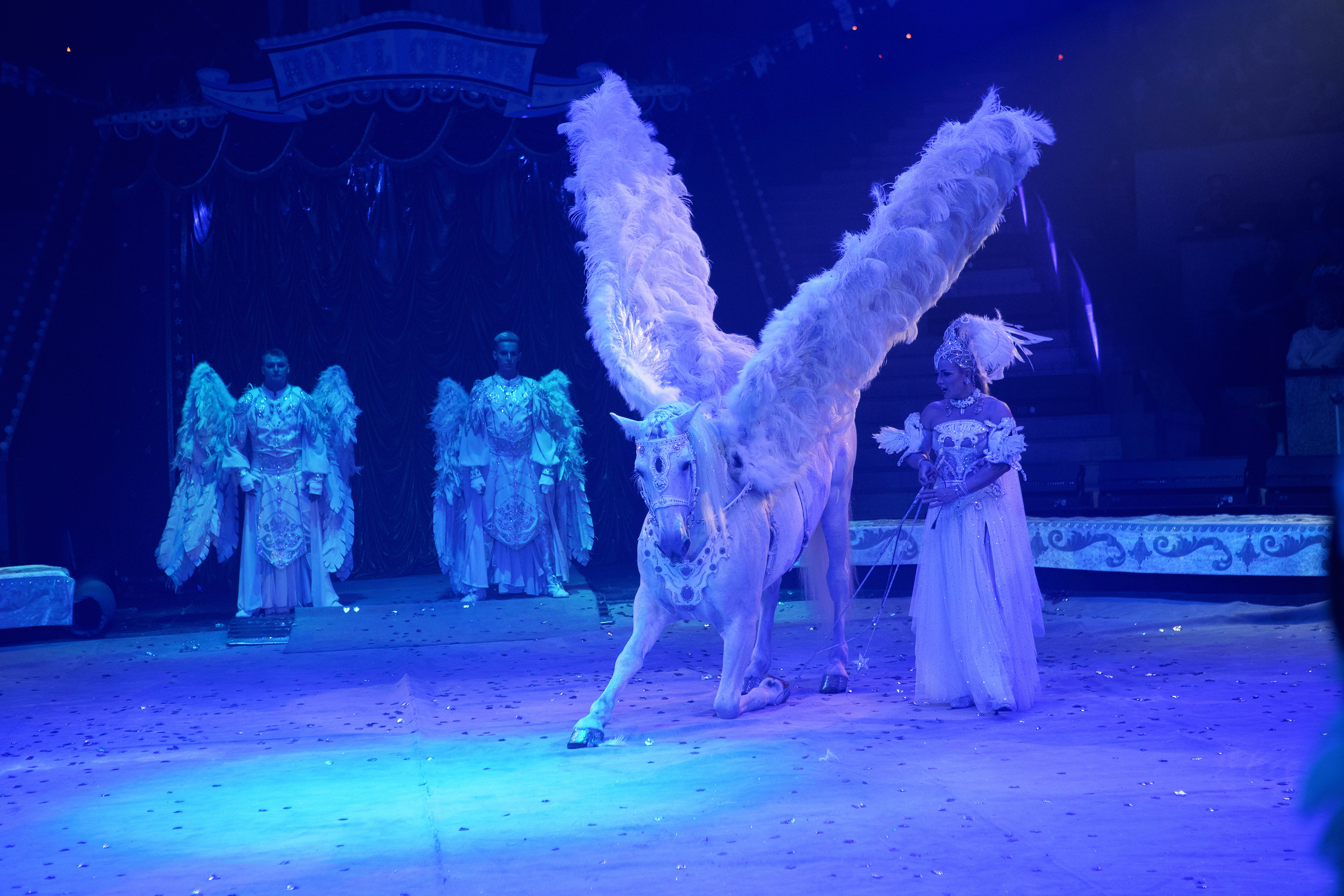 Грандиозный «БУРЛЕСК» Гии Эрадзе ВПЕРВЫЕ в Новосибирском цирке!. Фотомастерская Воробьевых