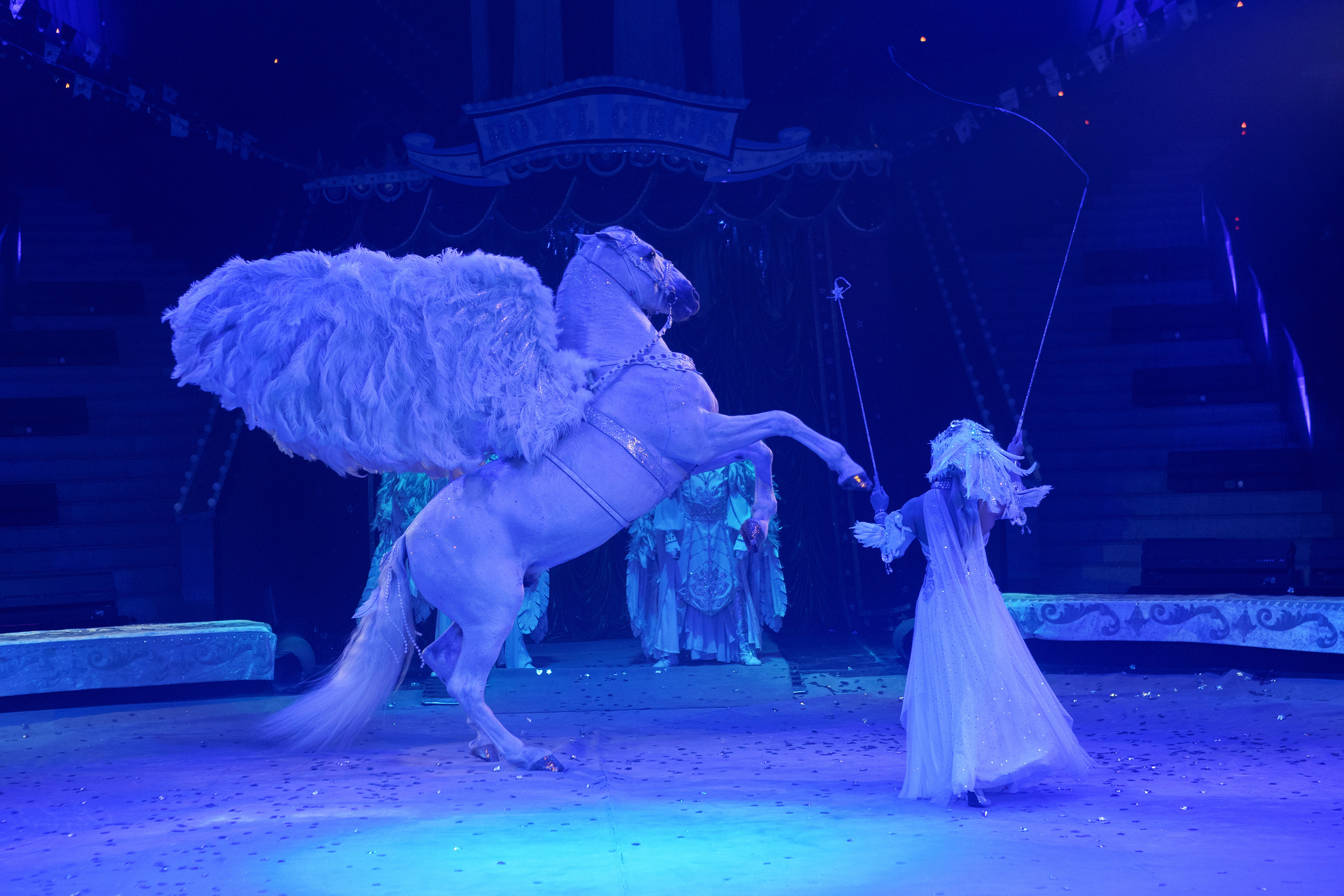 Грандиозный «БУРЛЕСК» Гии Эрадзе ВПЕРВЫЕ в Новосибирском цирке!. Фотомастерская Воробьевых