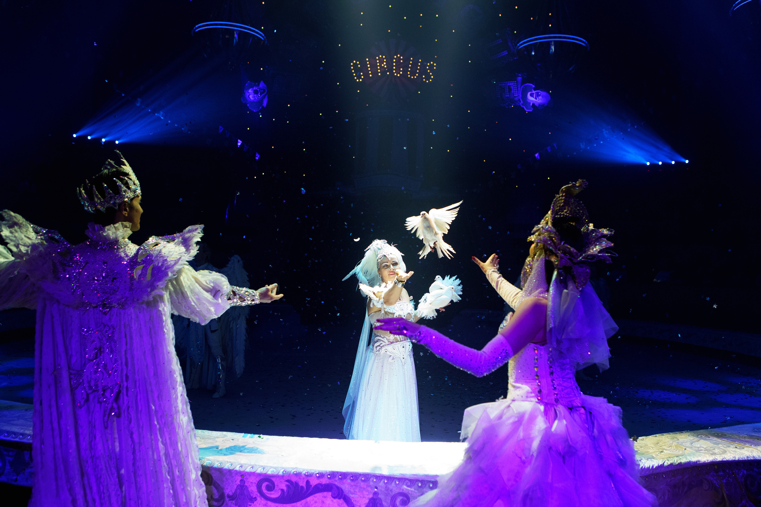 Грандиозный «БУРЛЕСК» Гии Эрадзе ВПЕРВЫЕ в Новосибирском цирке!. Фотомастерская Воробьевых