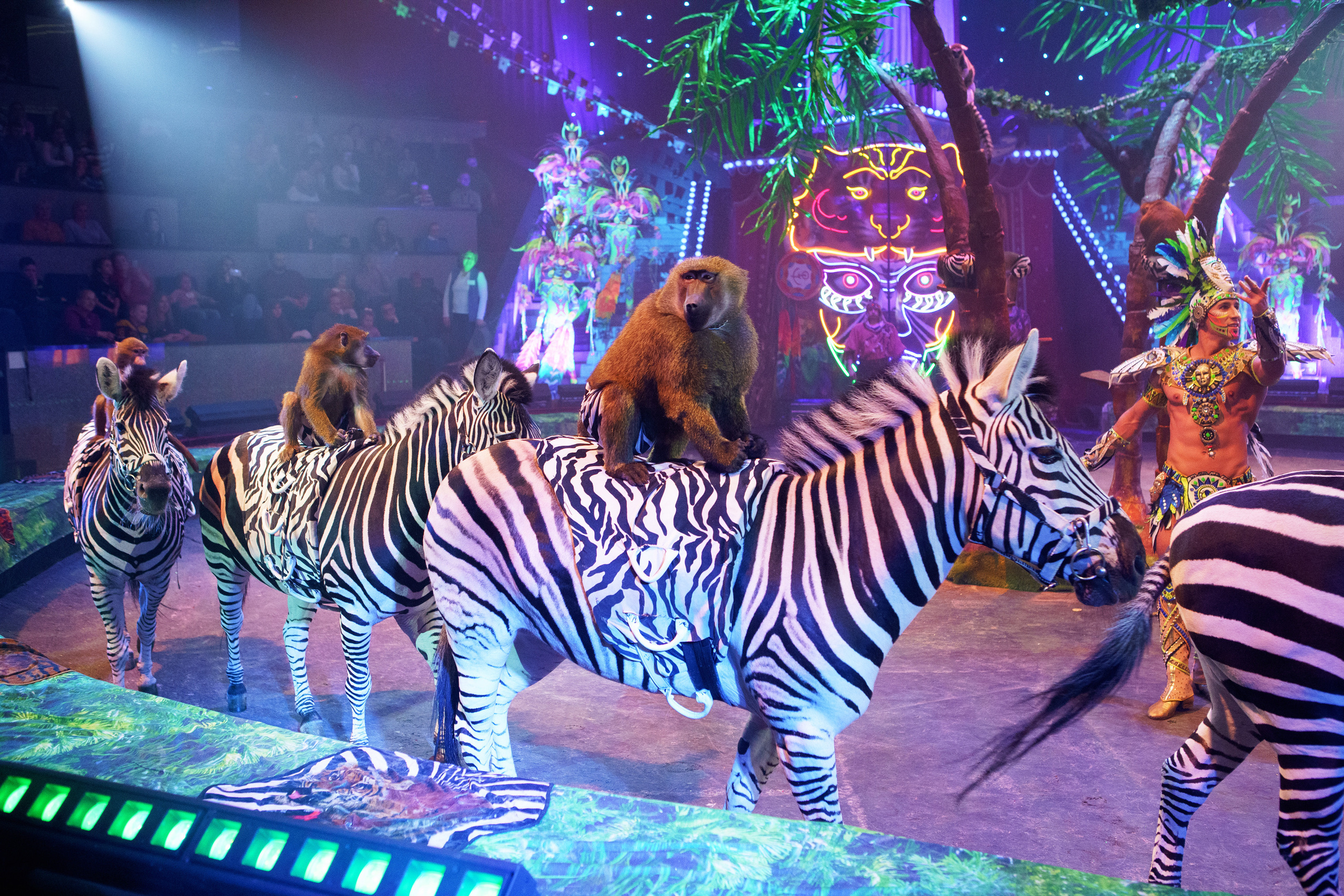 Грандиозный «БУРЛЕСК» Гии Эрадзе ВПЕРВЫЕ в Новосибирском цирке!. Фотомастерская Воробьевых