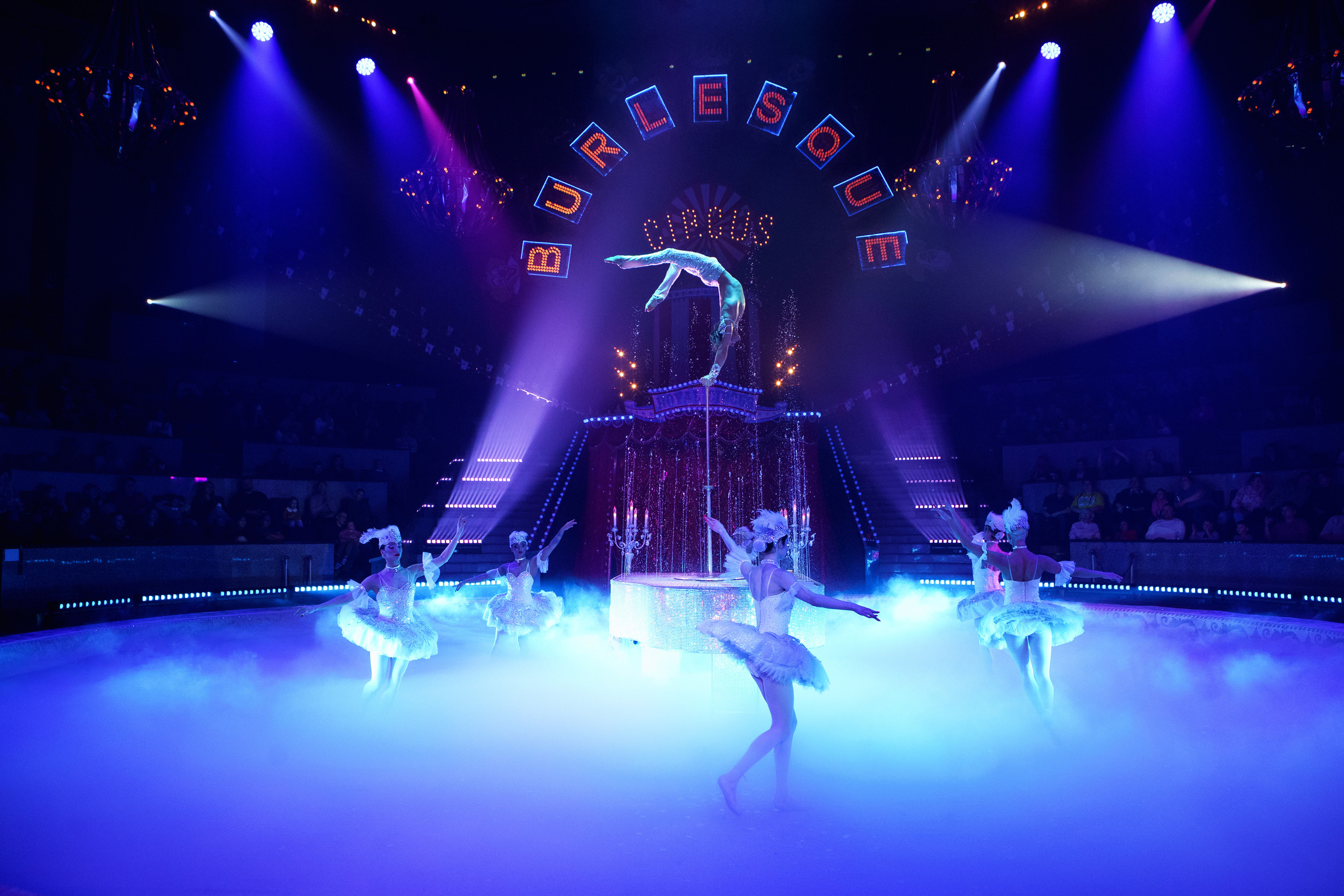 Грандиозный «БУРЛЕСК» Гии Эрадзе ВПЕРВЫЕ в Новосибирском цирке!. Фотомастерская Воробьевых