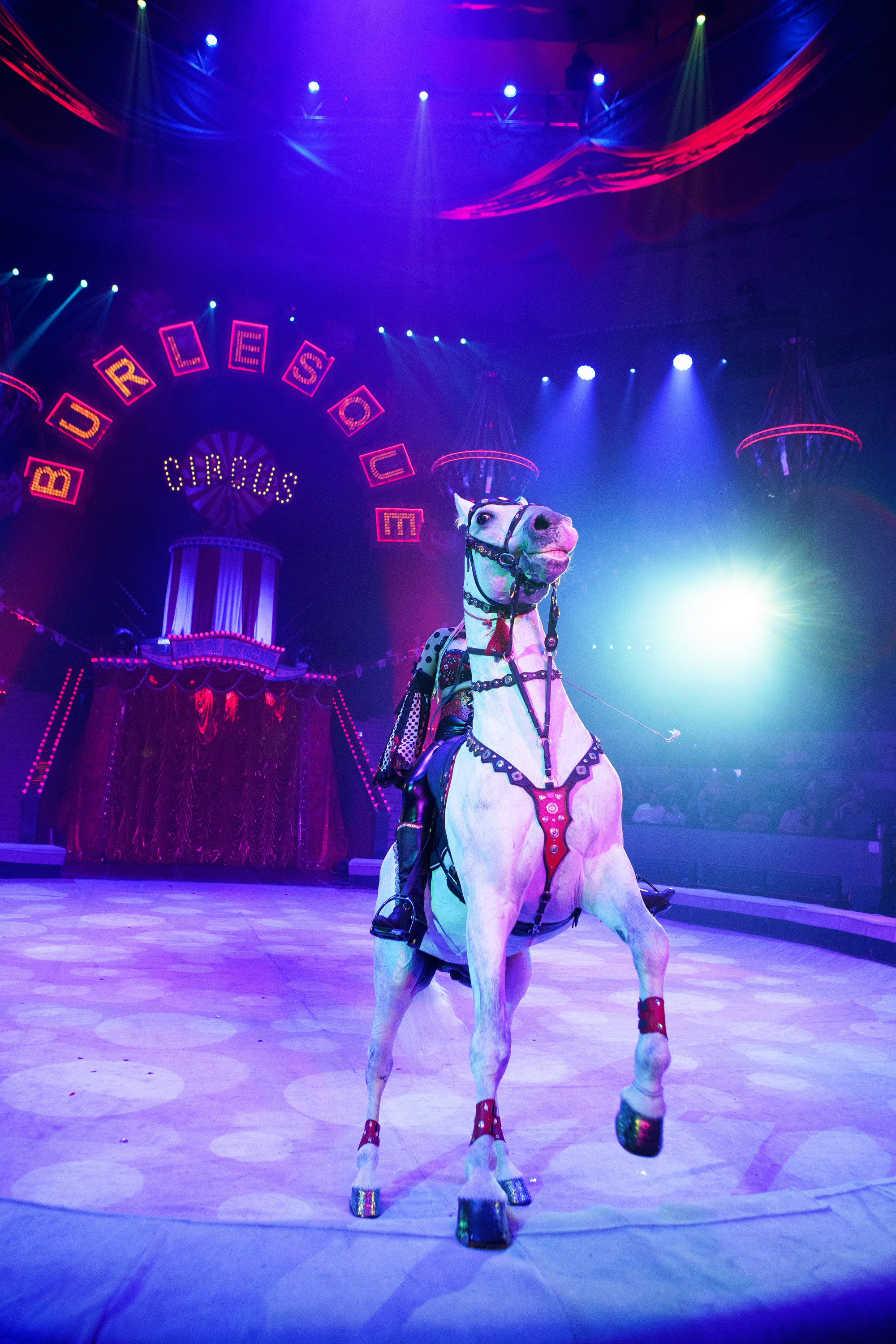 Грандиозный «БУРЛЕСК» Гии Эрадзе ВПЕРВЫЕ в Новосибирском цирке!. Фотомастерская Воробьевых