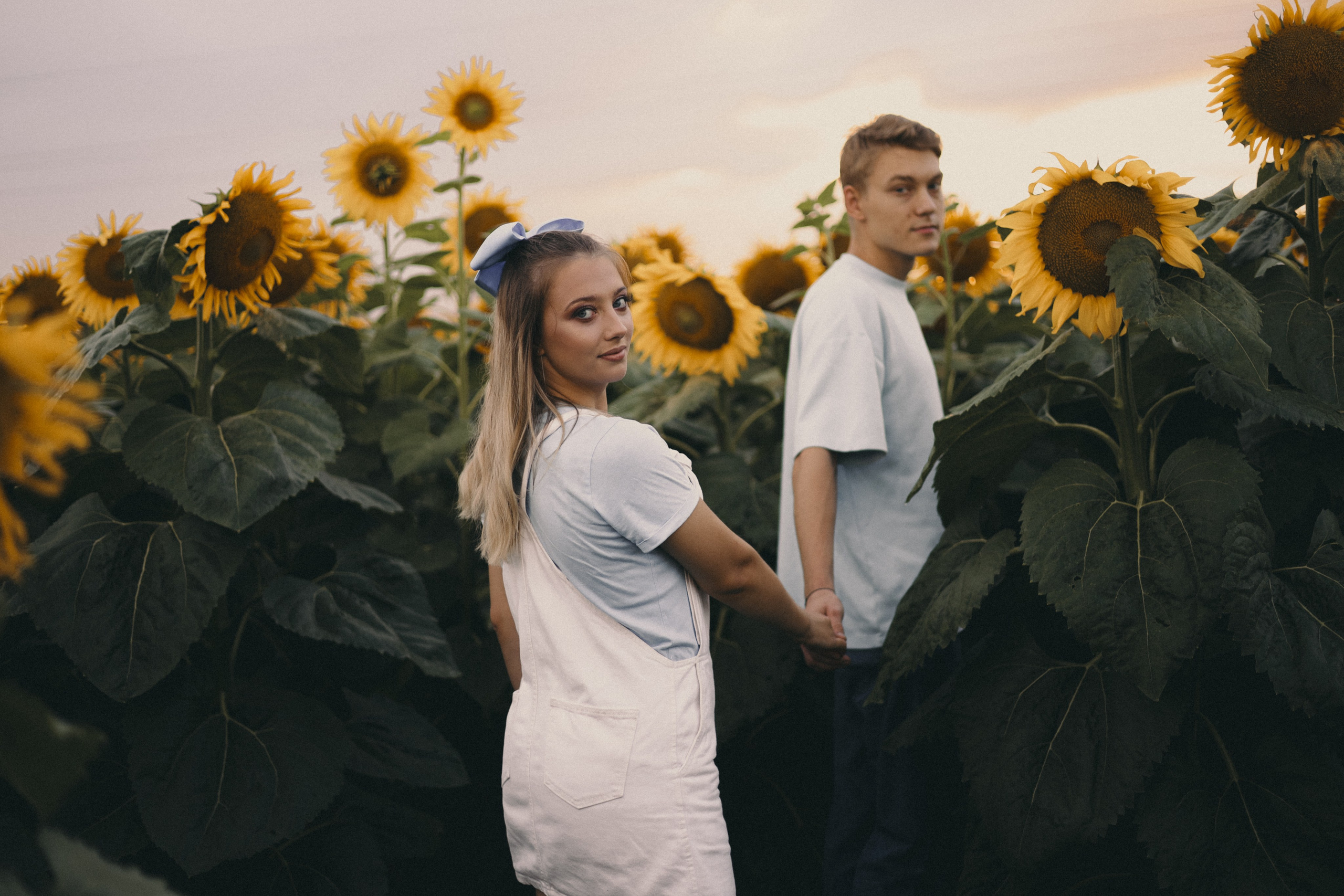 Михаил и Валерия | Подсолнухи. Фотограф Мария Лаенко