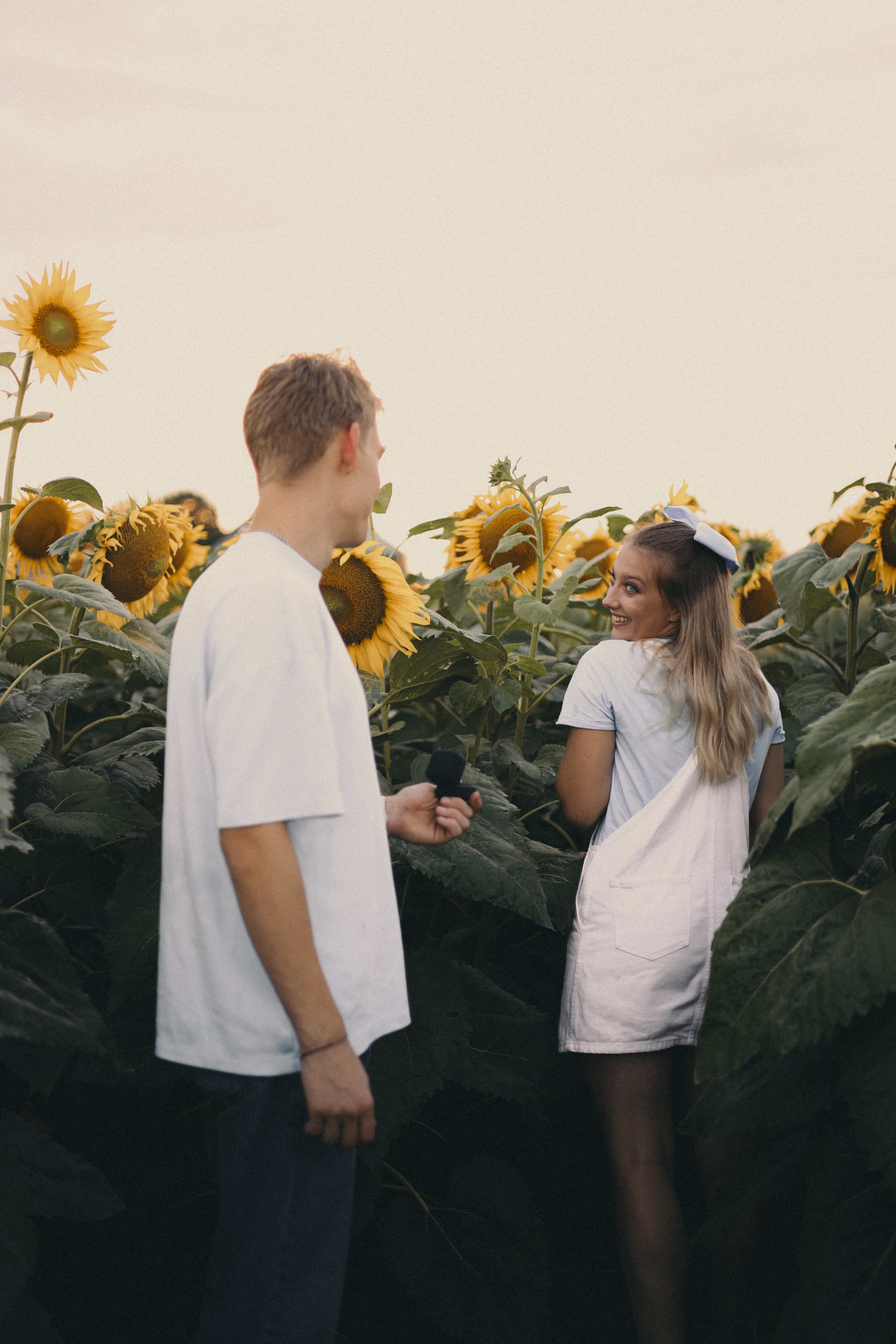 Михаил и Валерия | Подсолнухи. Фотограф Мария Лаенко