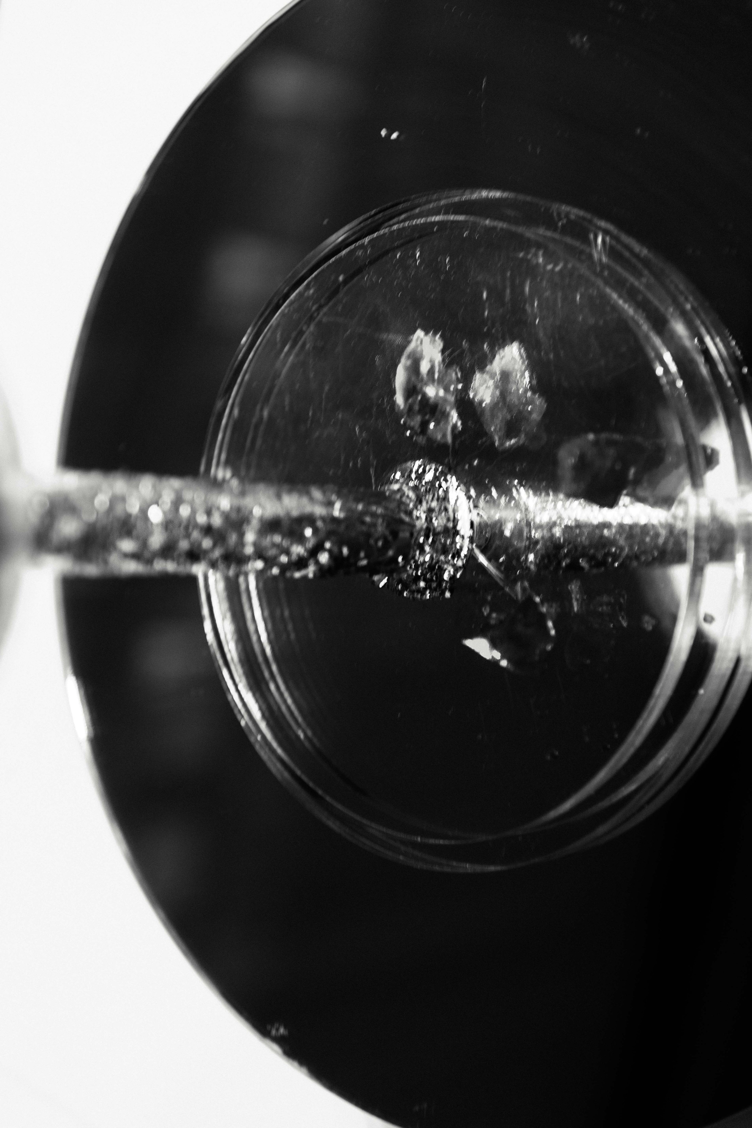 WASAFE 24. Фотограф Валентин Бодня