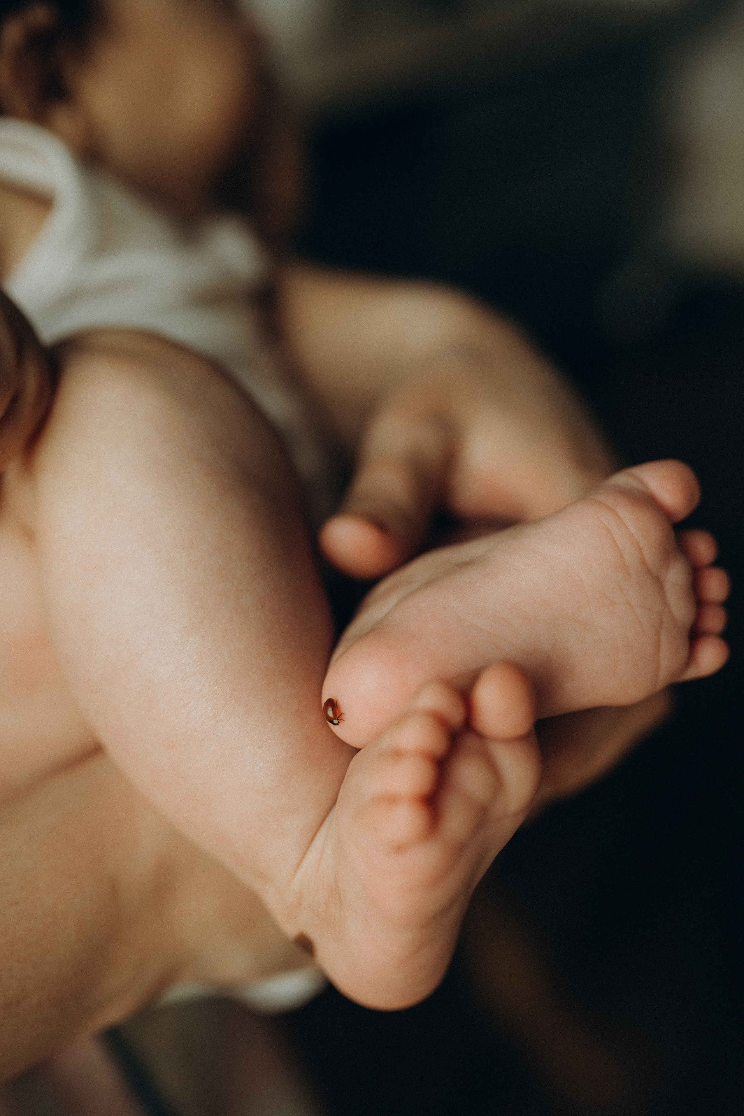 Фотограф семей в домашних условиях