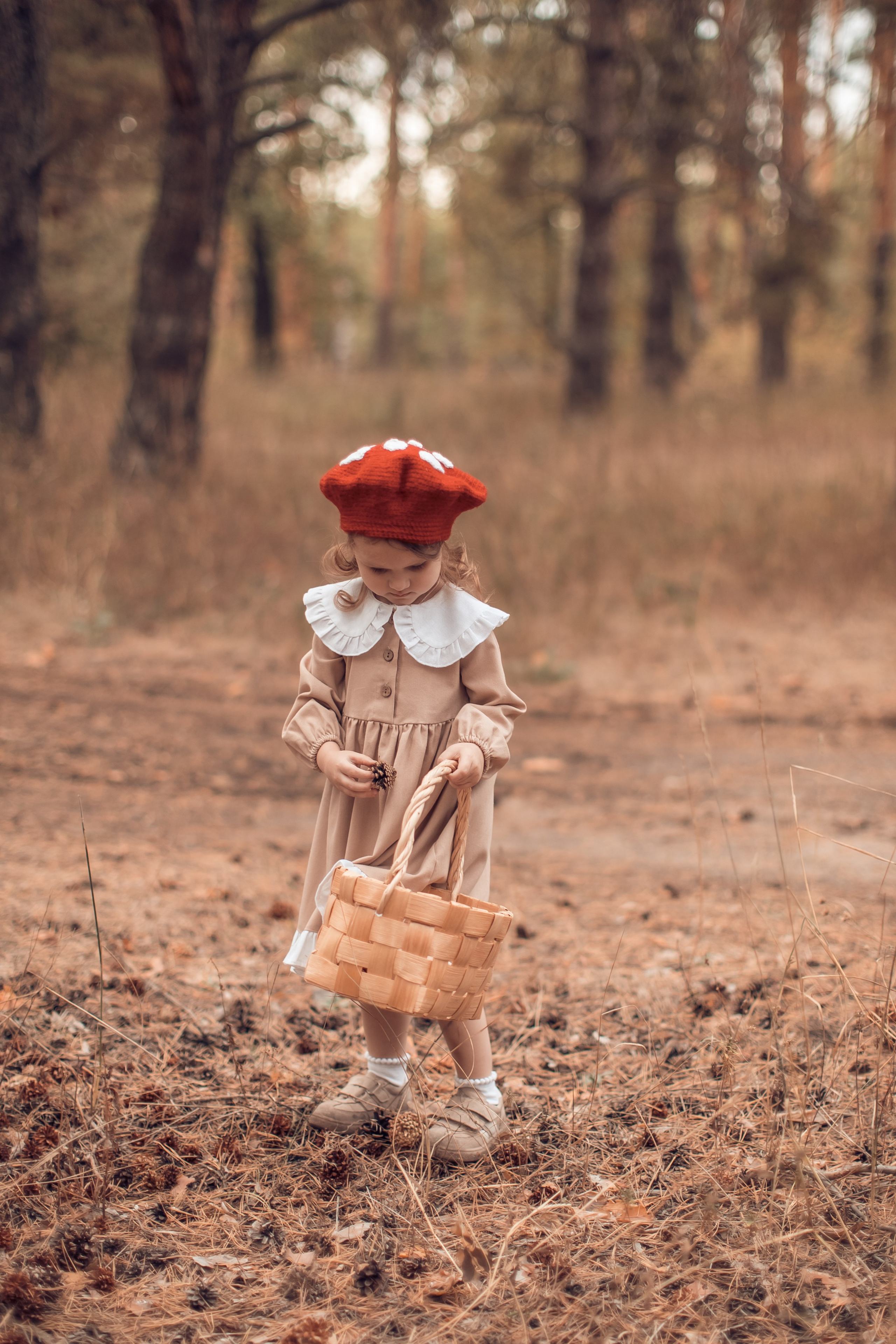 Прогулка в Широком. Главная