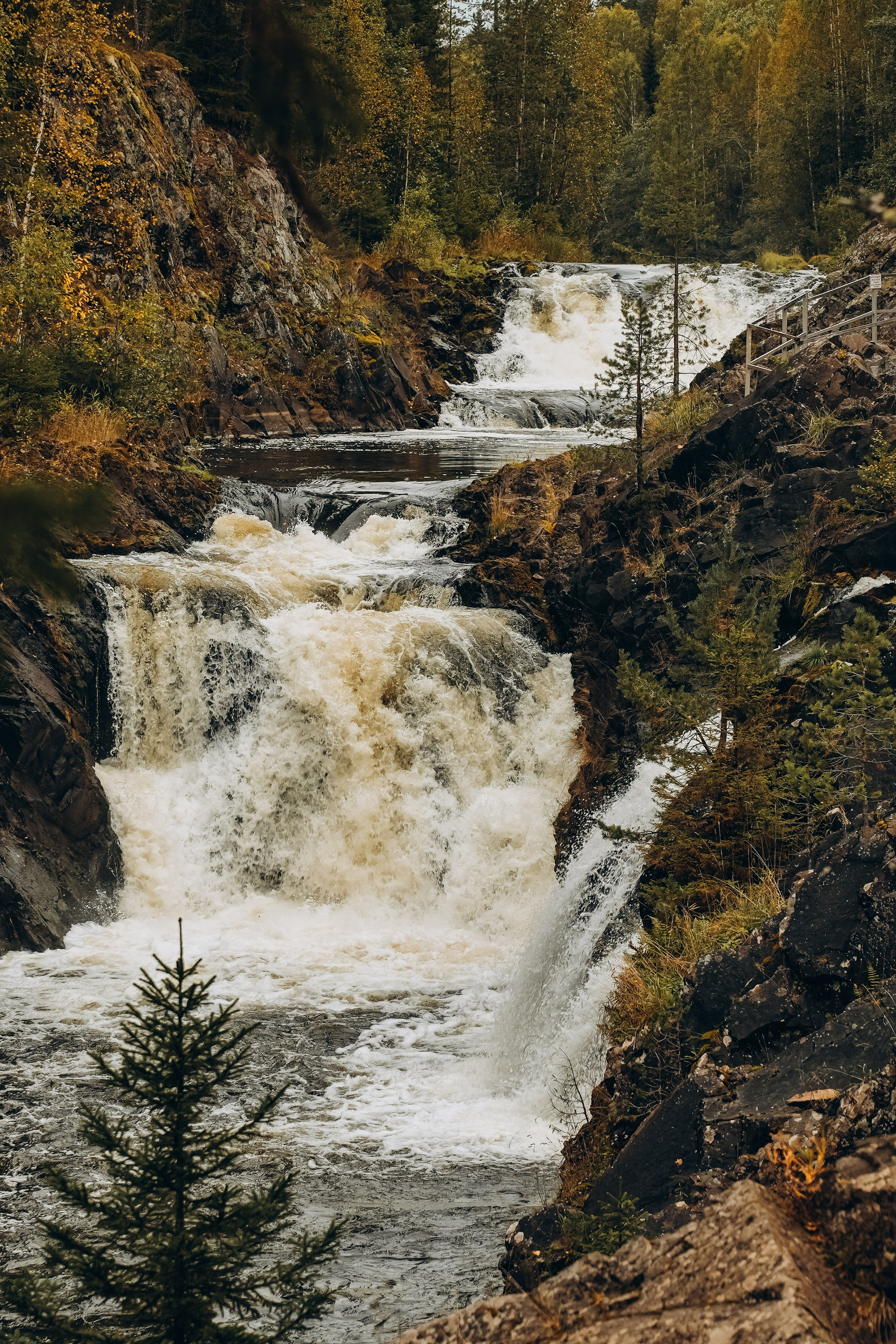 СЕВЕР. Event фотограф Степанова Александра