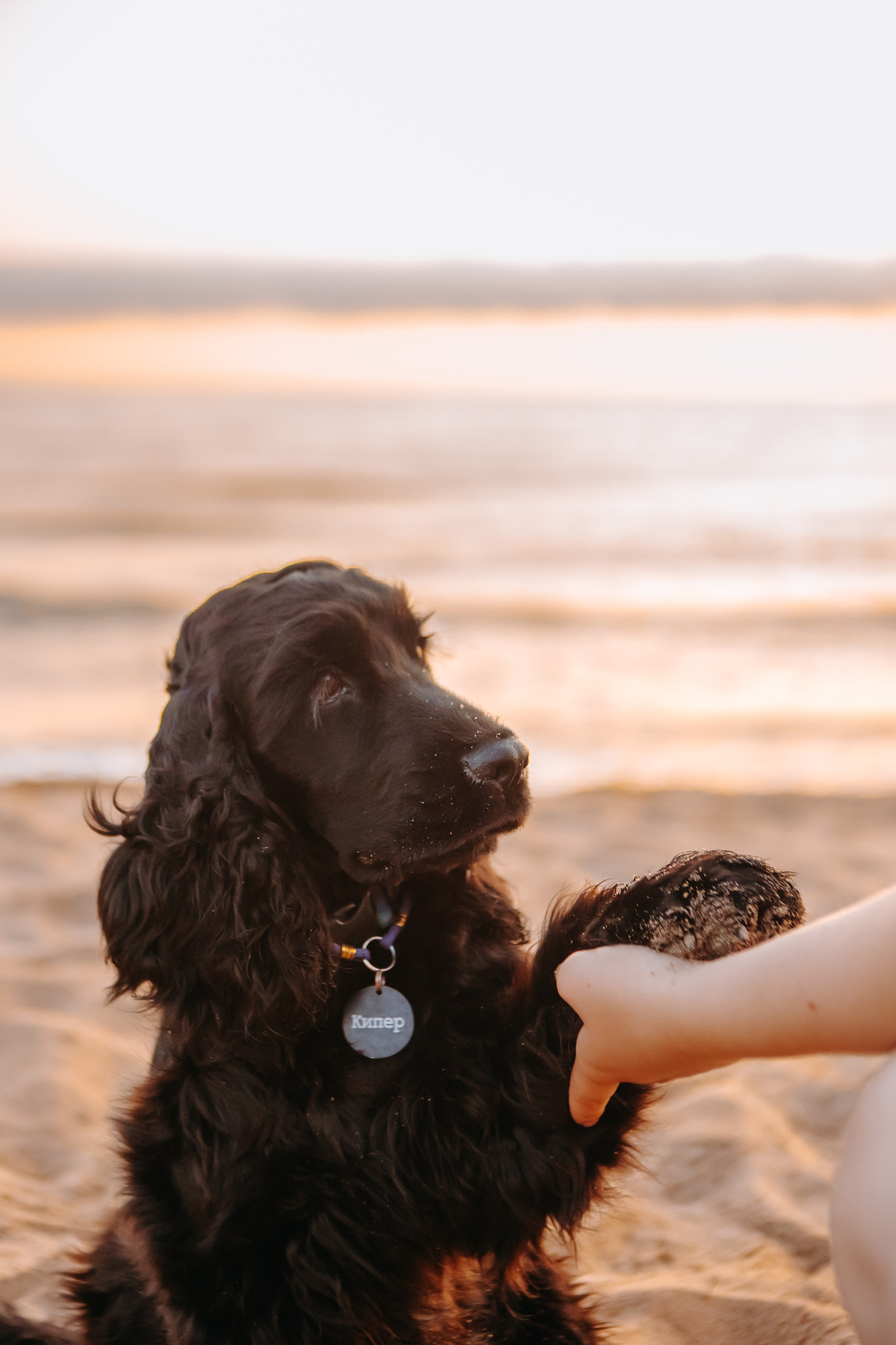 Три поколения. Фотограф-анималист в Санкт-Петербурге Алина Яхонт