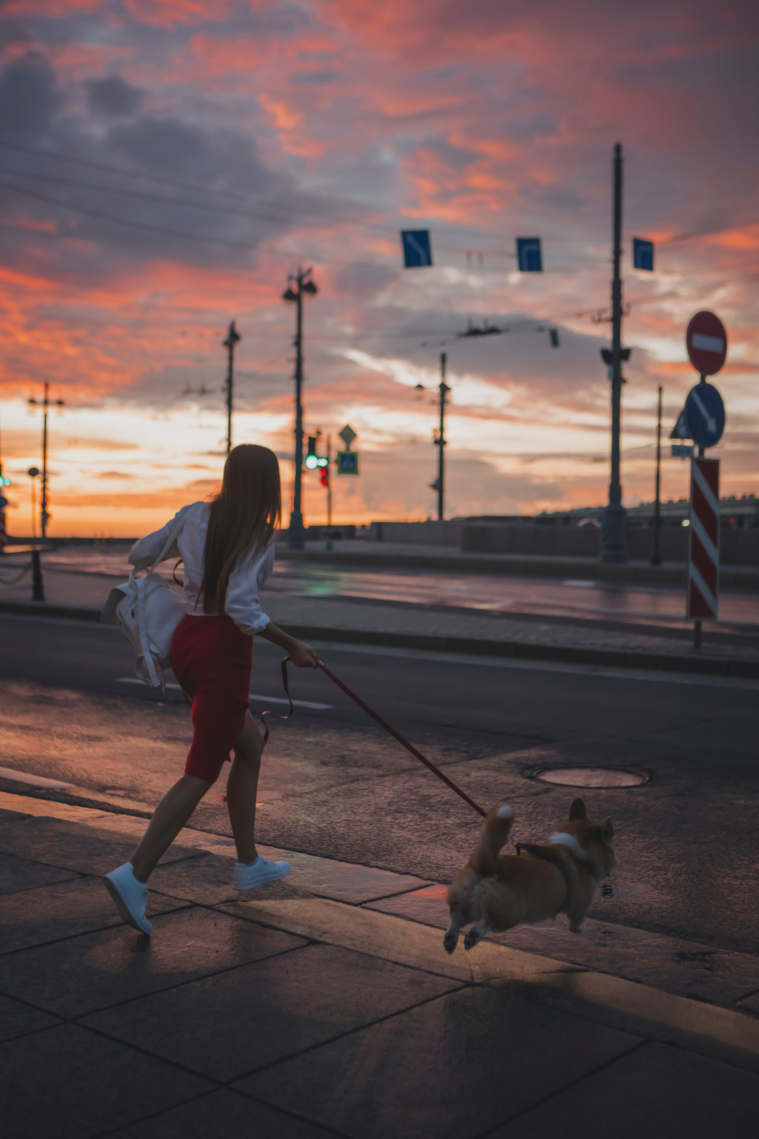 Настя и Стёпа. Фотограф-анималист в Санкт-Петербурге Алина Яхонт