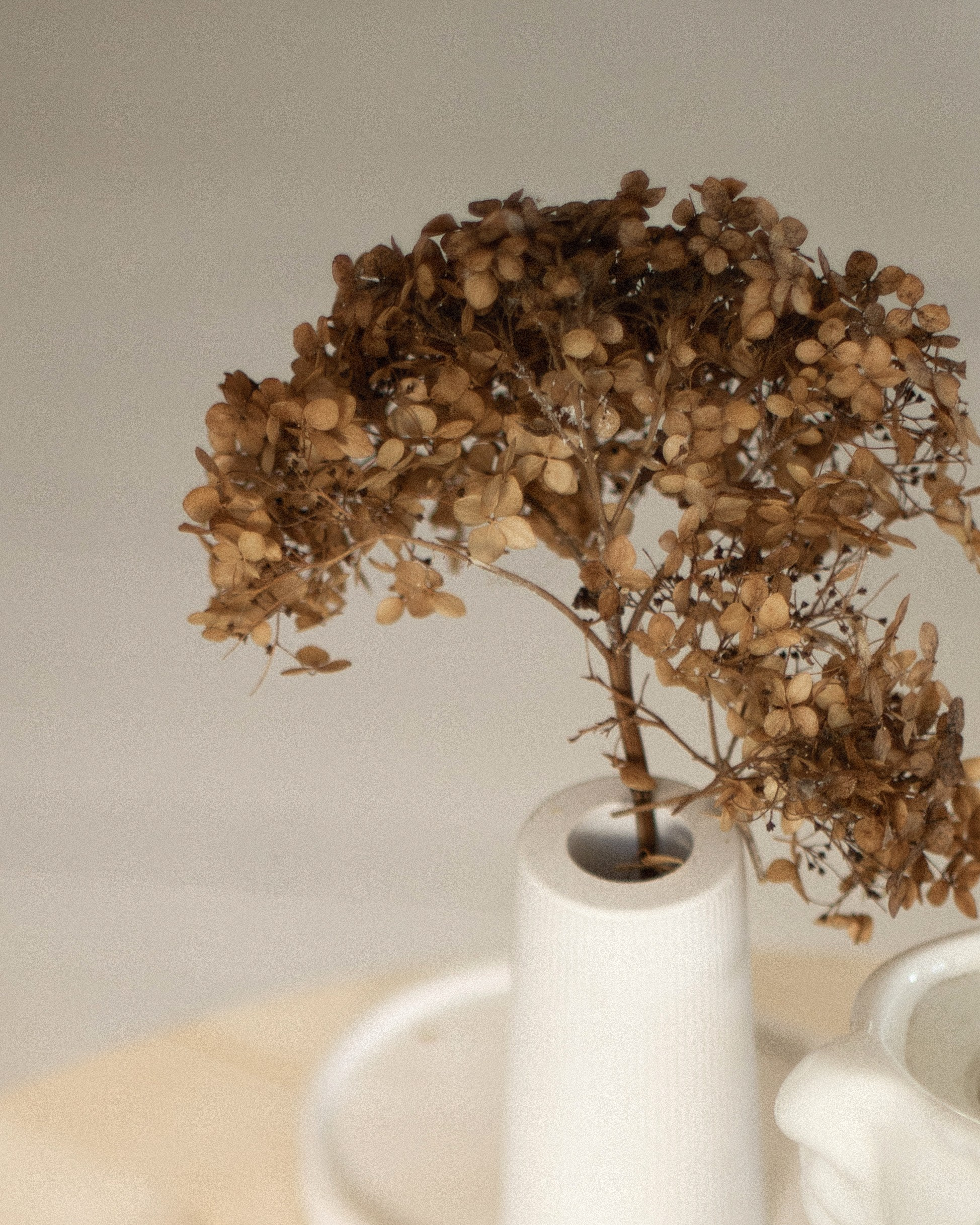 SMM специалист