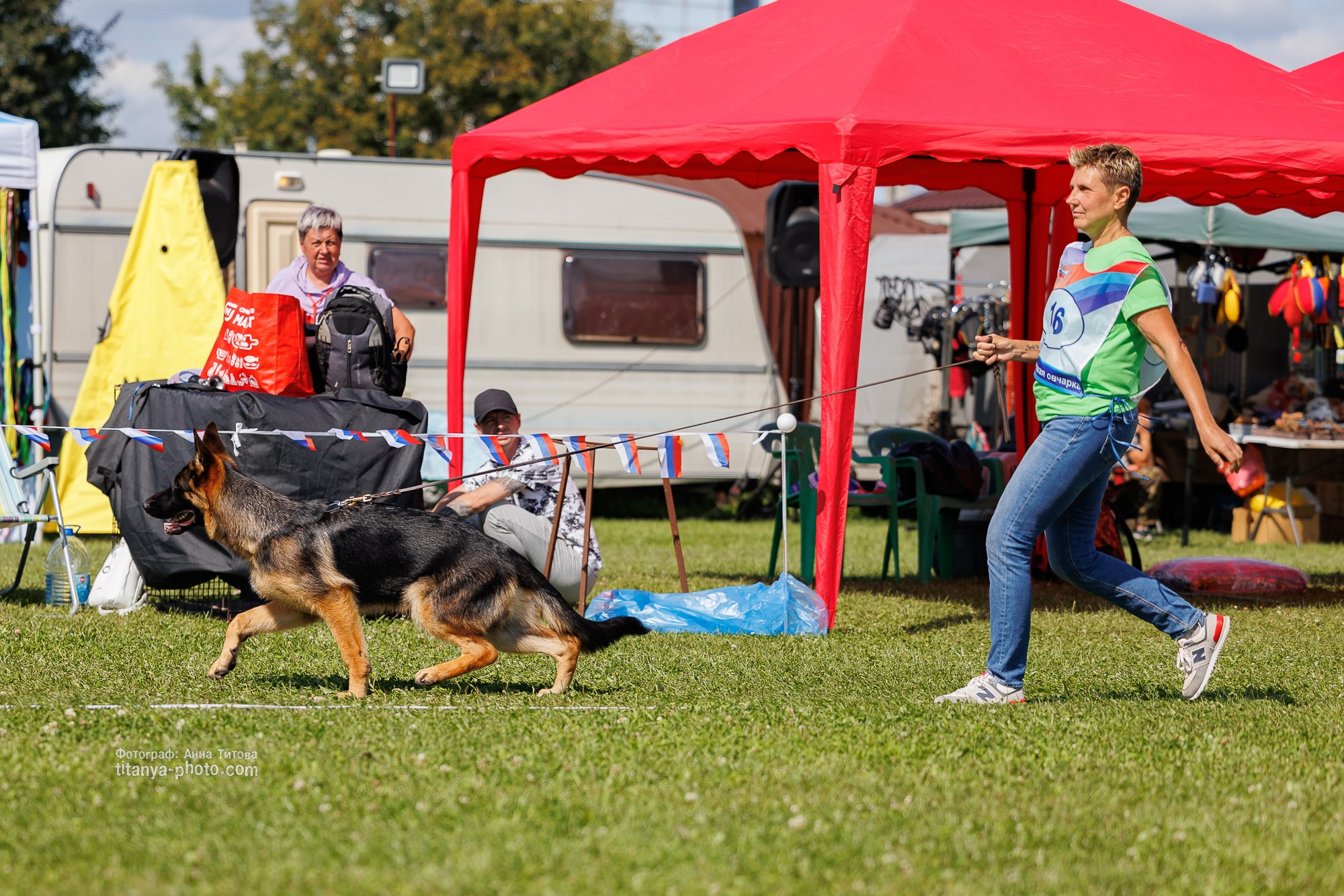 Немецкие овчарки: фото из рингов и вне ринга, мутпроба (фотографии с выставок). Фотограф собак, фотограф-анималист Аня Титова (Titanya). Москва