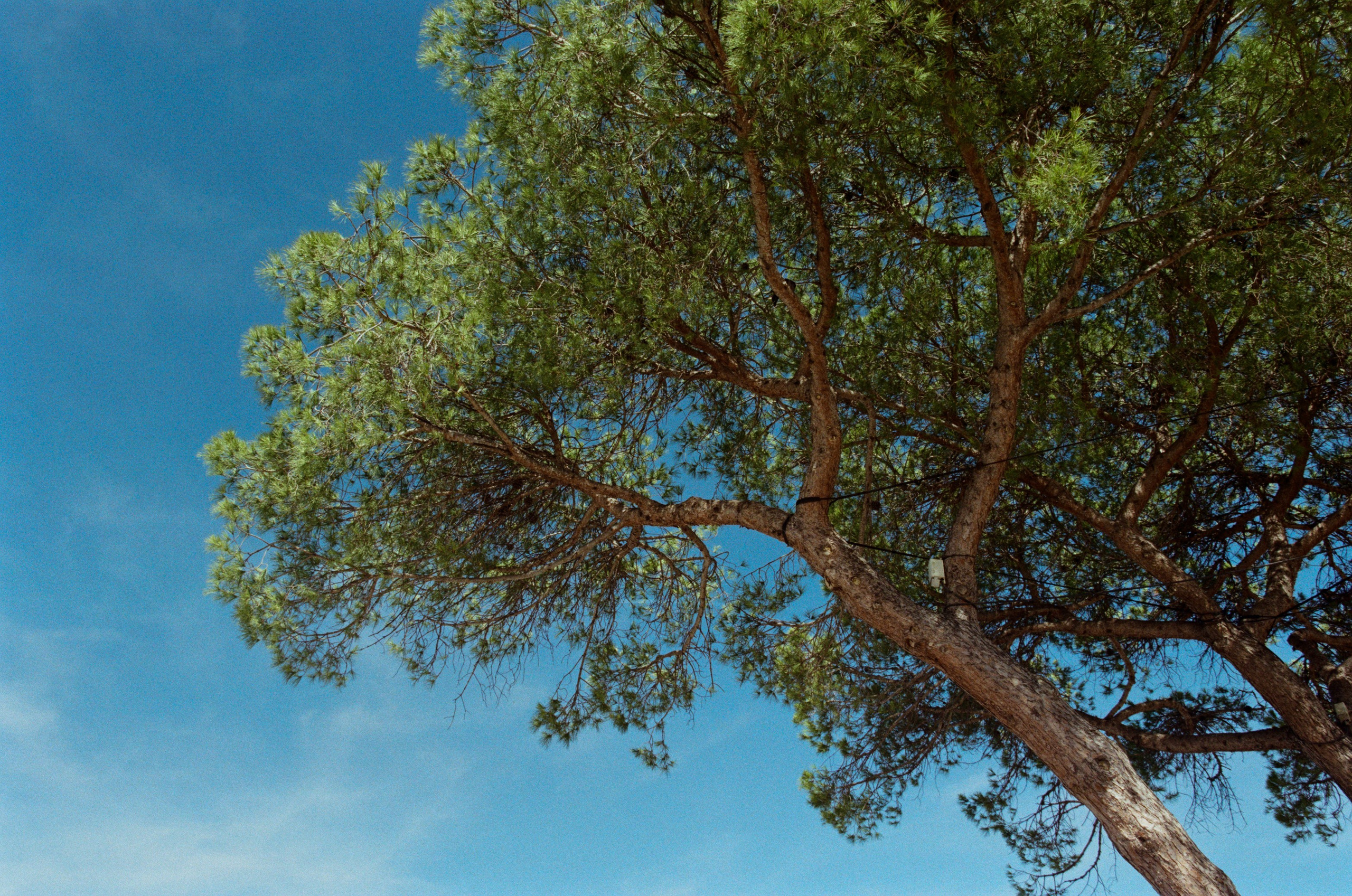 The contract // france, cote d'azur. EVER EXPOSED