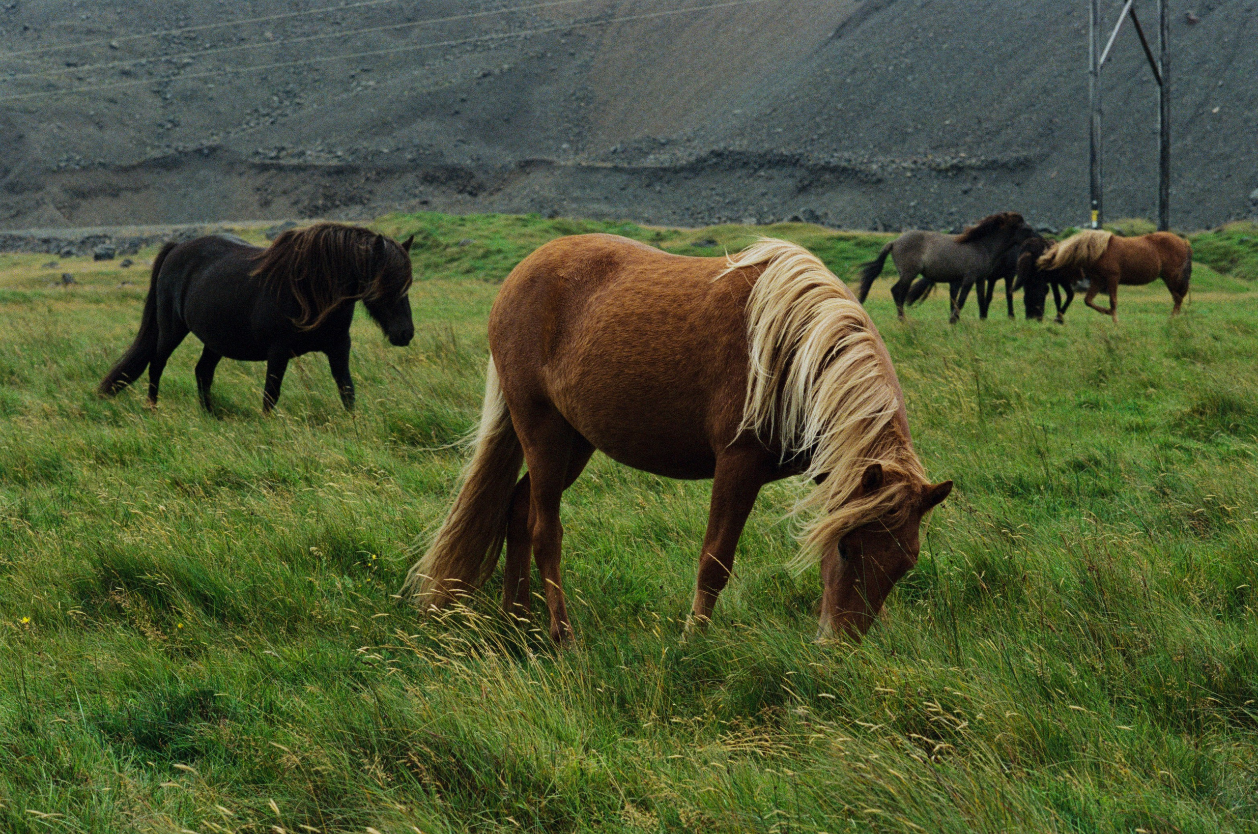 I of the storm // iceland, stokksnes. EVER EXPOSED