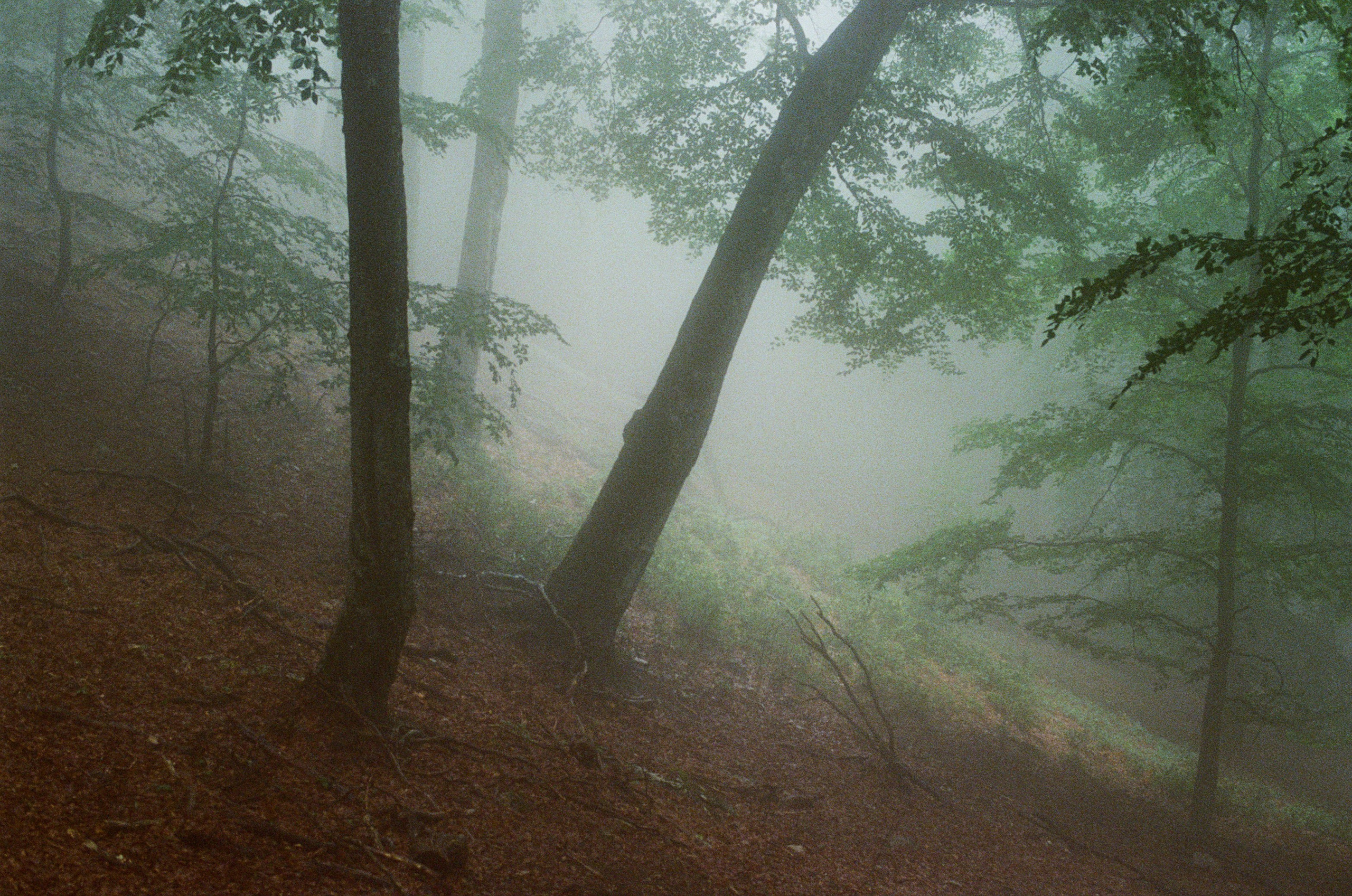 Dig it // ukraine, crimea II. EVER EXPOSED