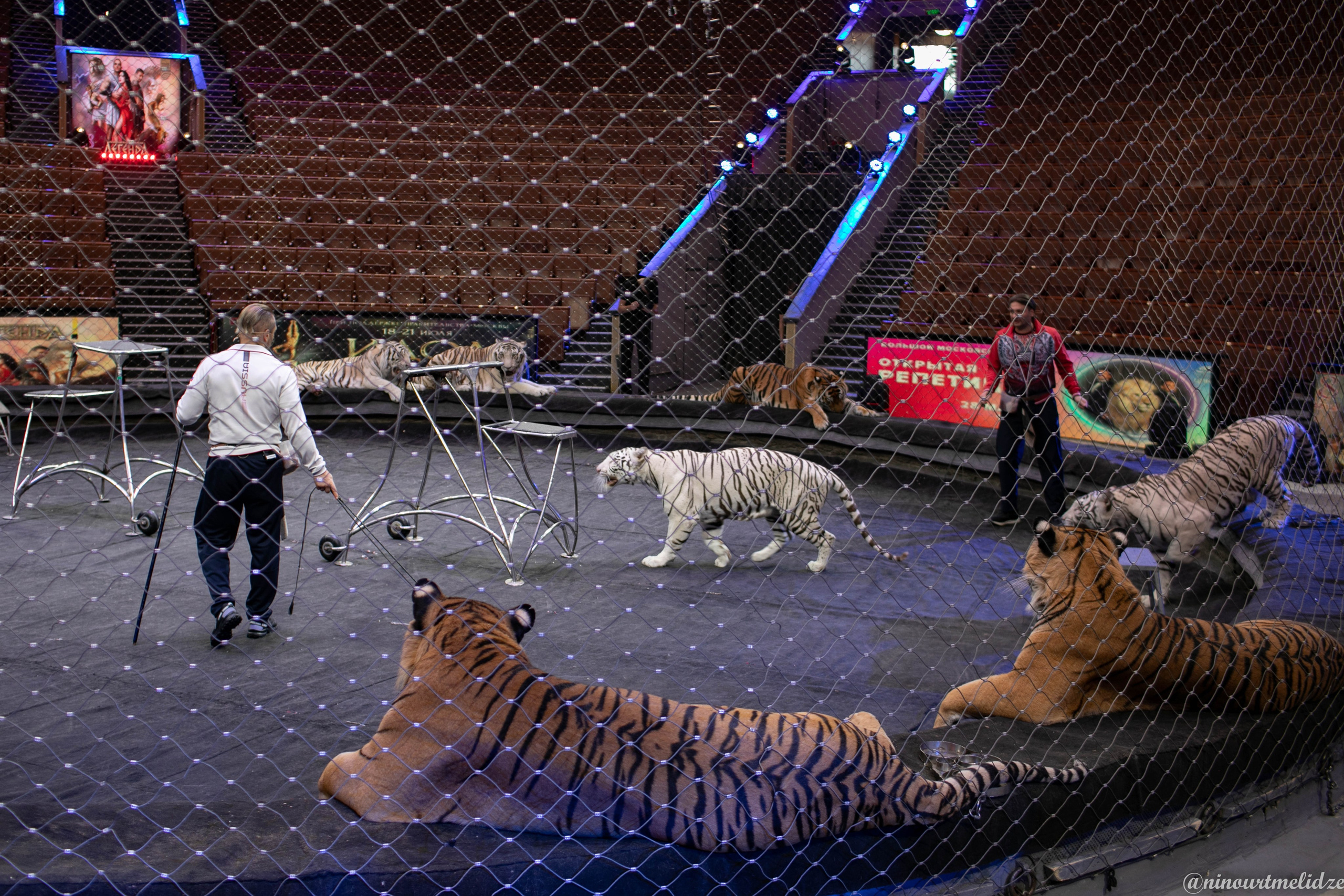 В закулисье у братьев Запашных. Art photographer Nino