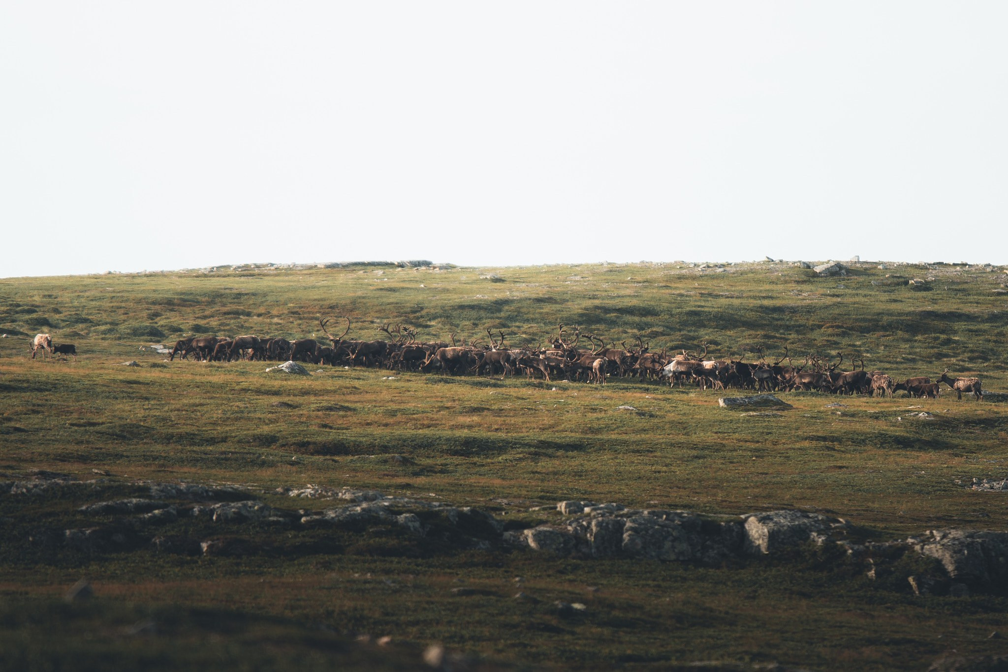 Север 2025. Внедорожные путешествия — OFFROADTRIP