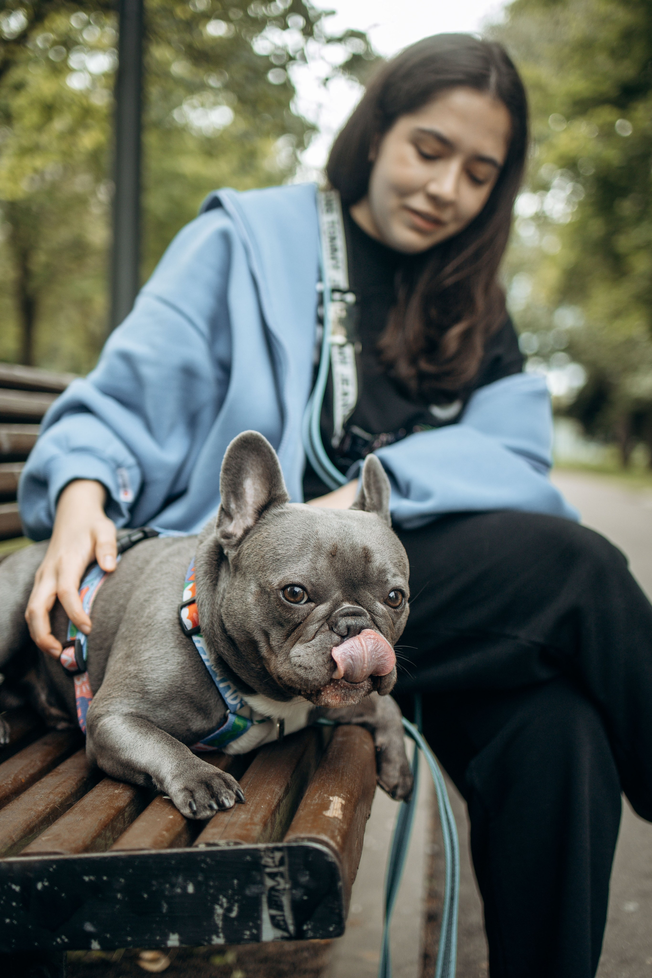 Грей и его семья