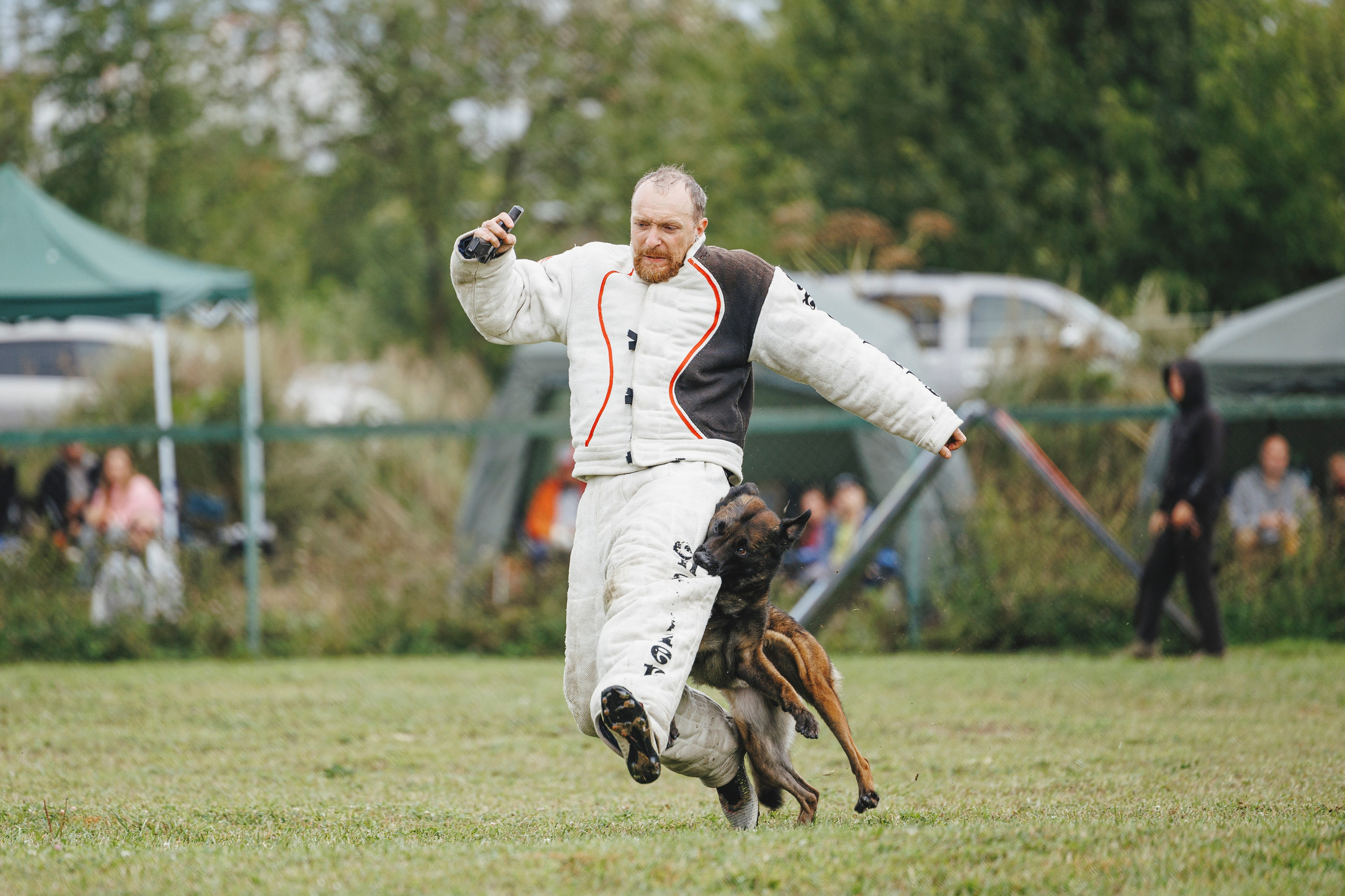 08.08.25-10.08.25 ЧР по мондьорингу г. Вологда. Фотограф-анималист Анна Маринич