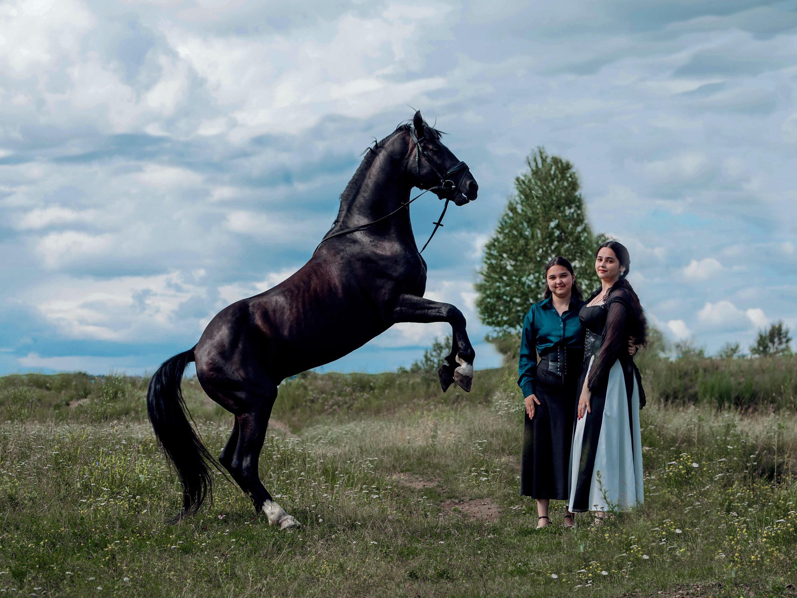 Лошади Емельяново. Конный фотограф в Красноярске — Любовь Похабова