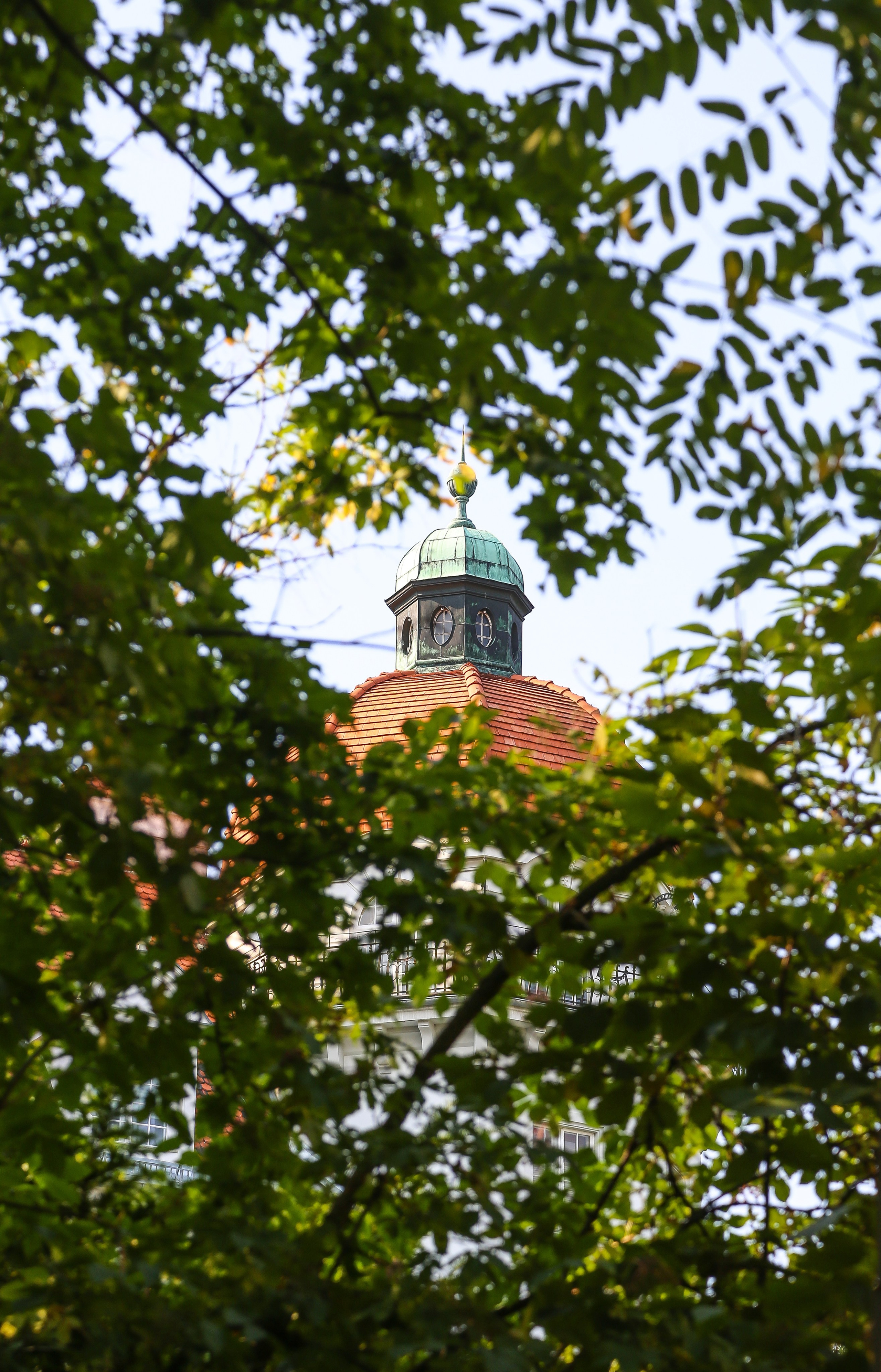 Австрия: Баден. Дарья Письменюк / Darya Leitstern — фотограф, музыкант, журналист, путешественник