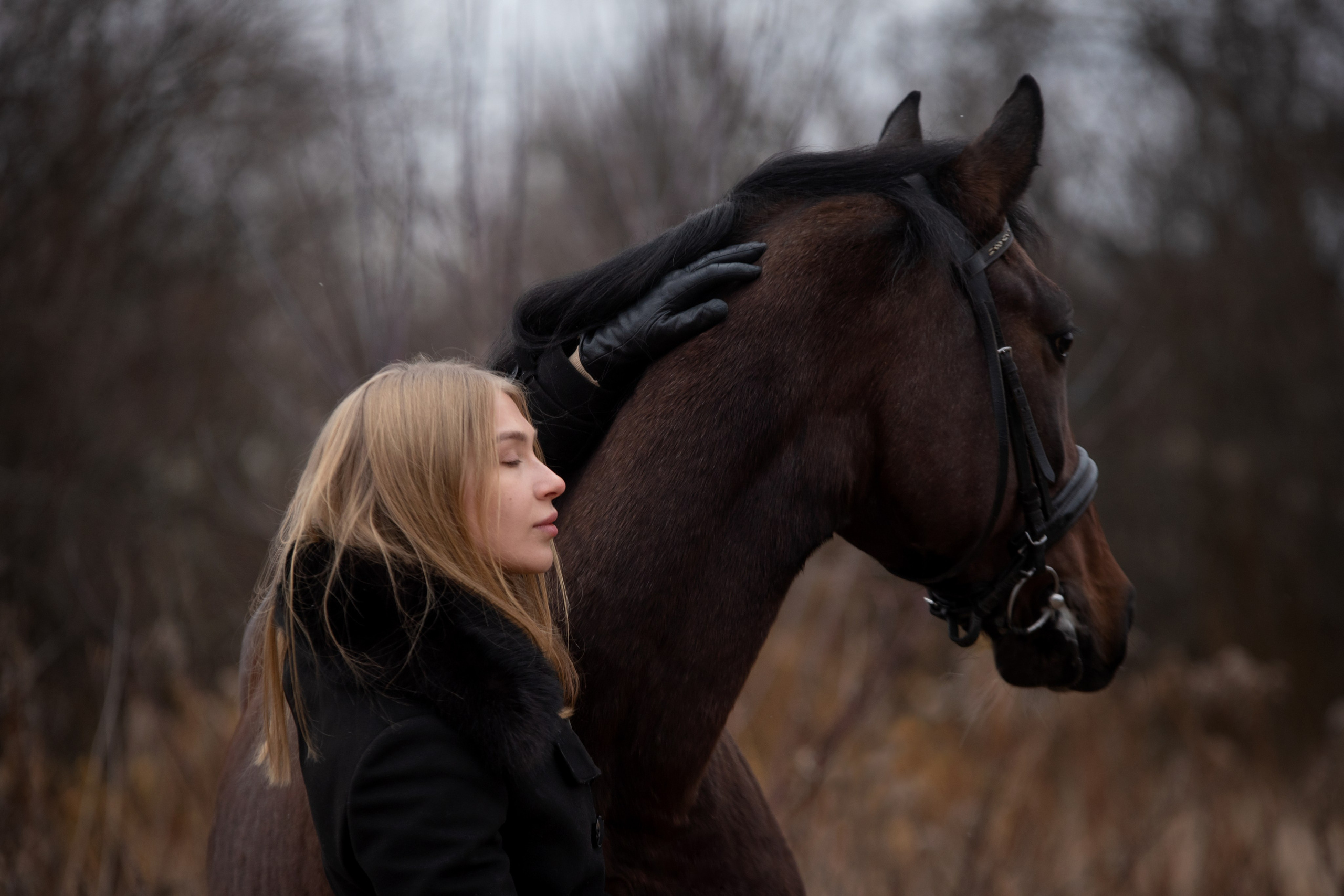 Кони. Мотофотограф в Нижнем Новгороде Динара Зуйкова