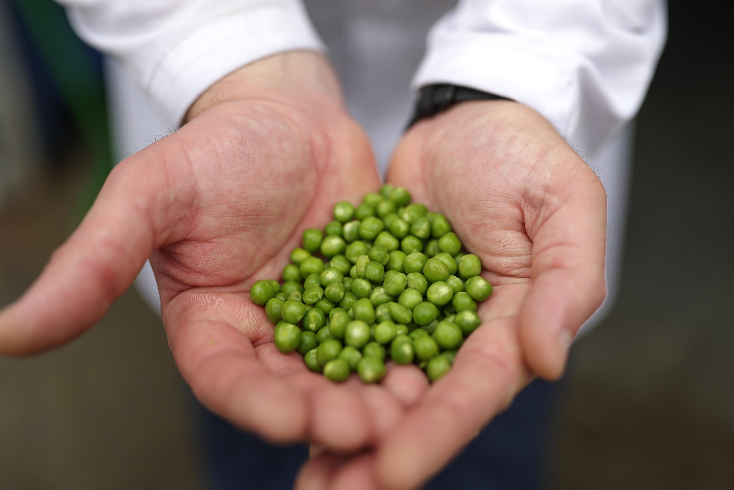 Агро. Тимкив Виталий репортажный фотограф в Краснодаре