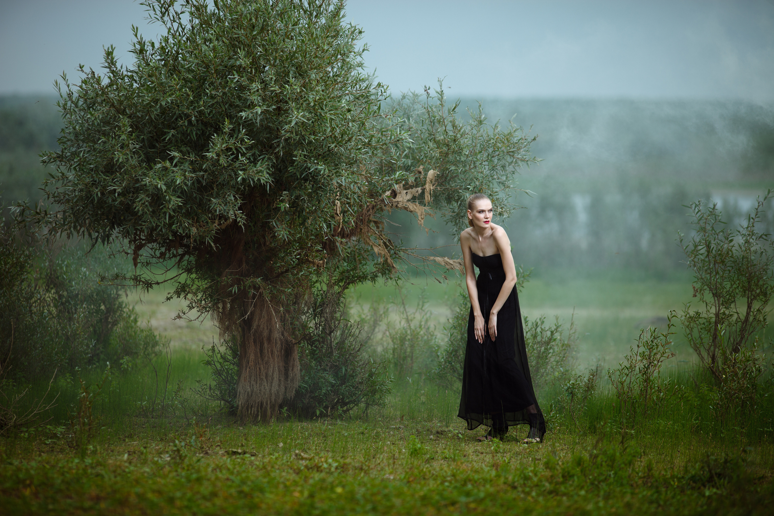 Арт. Тимкив Виталий репортажный фотограф в Краснодаре