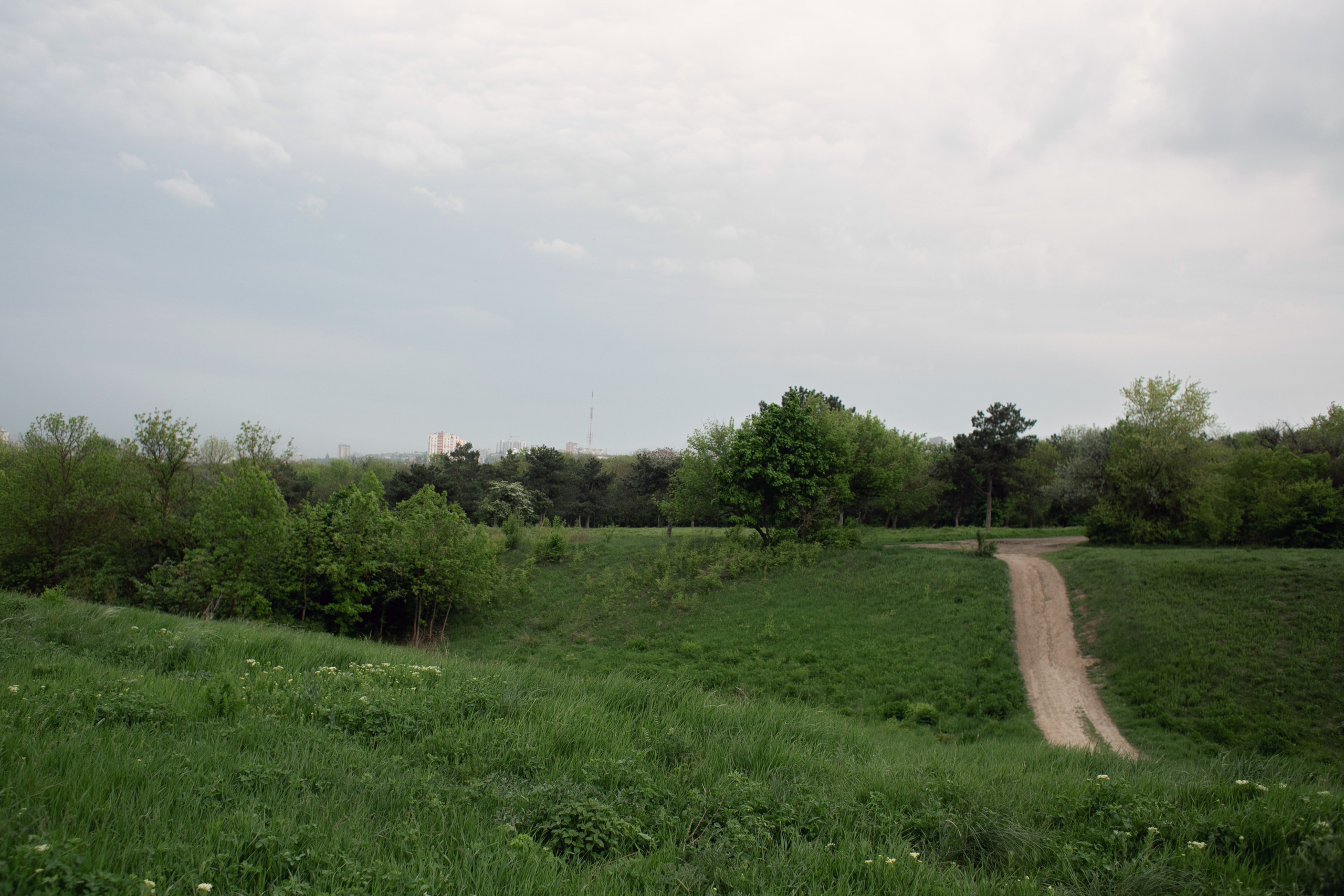 Когда цветет сирень. Семейный и детский фотограф в Ростове-на-Дону Мария Курутина