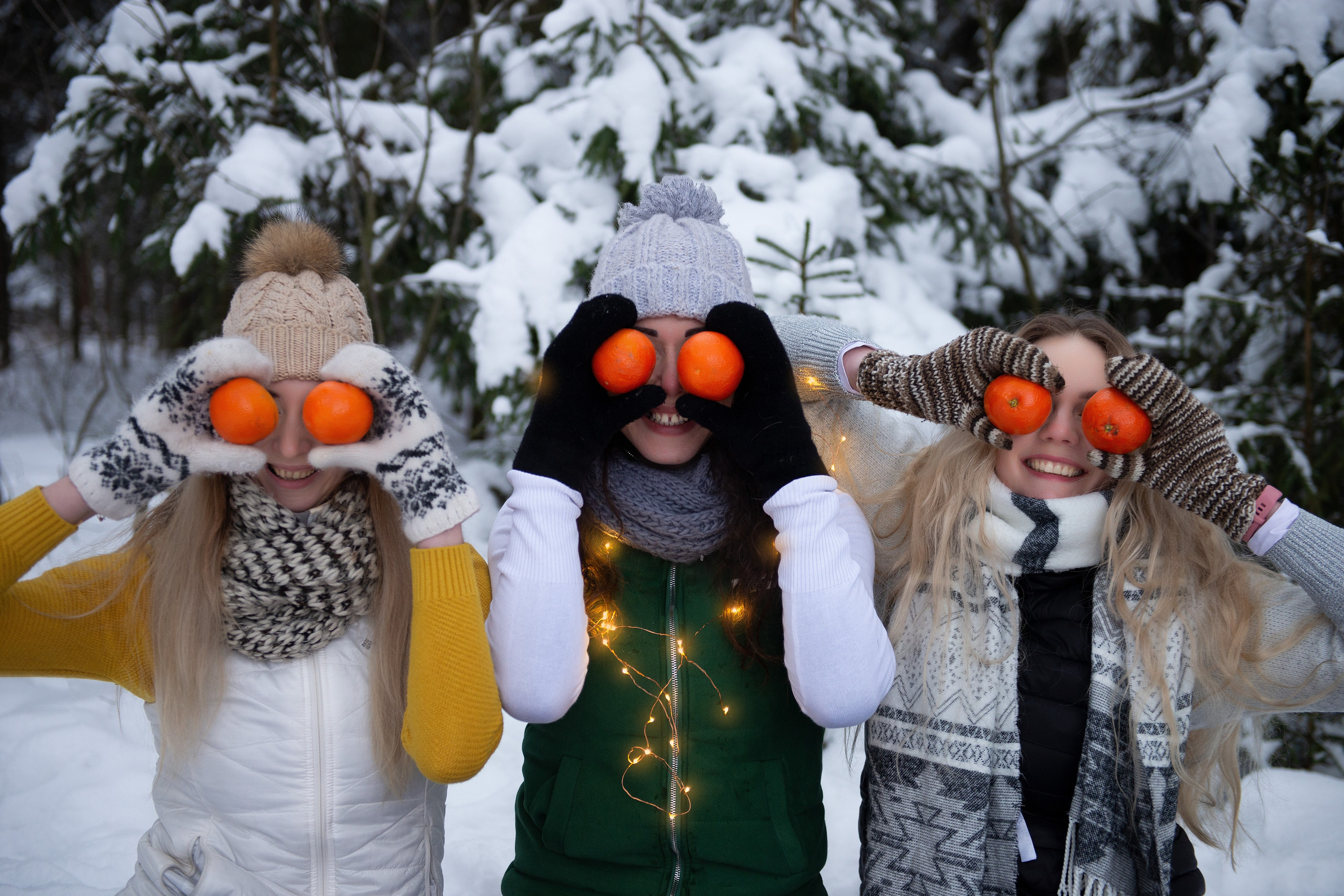 Зимний лес прекрасен. Творческий фотограф Вологда