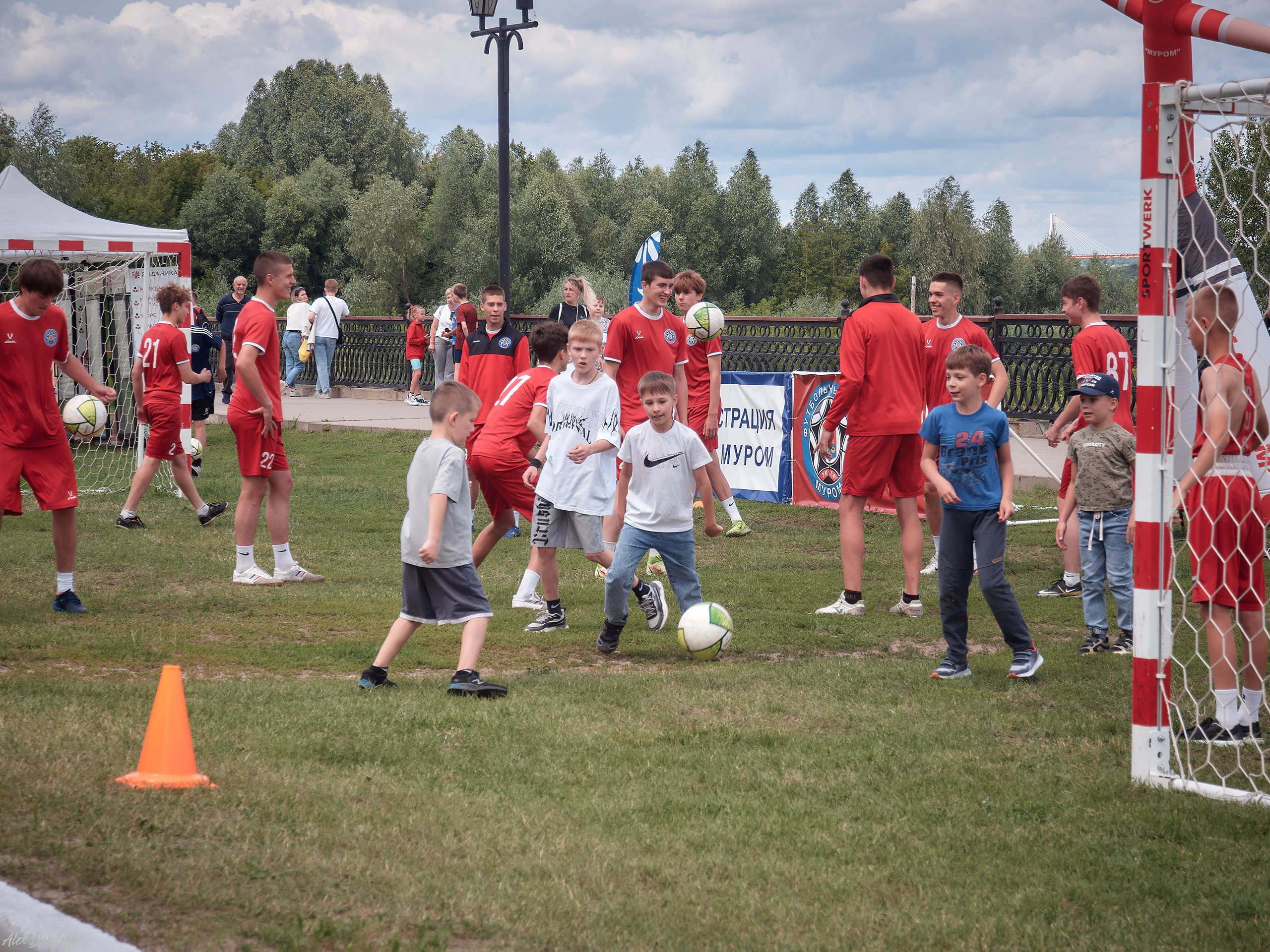 День семьи, любви и верности 2025. Муром-Инфо. Новости культуры, образования, спорта в городе Муром