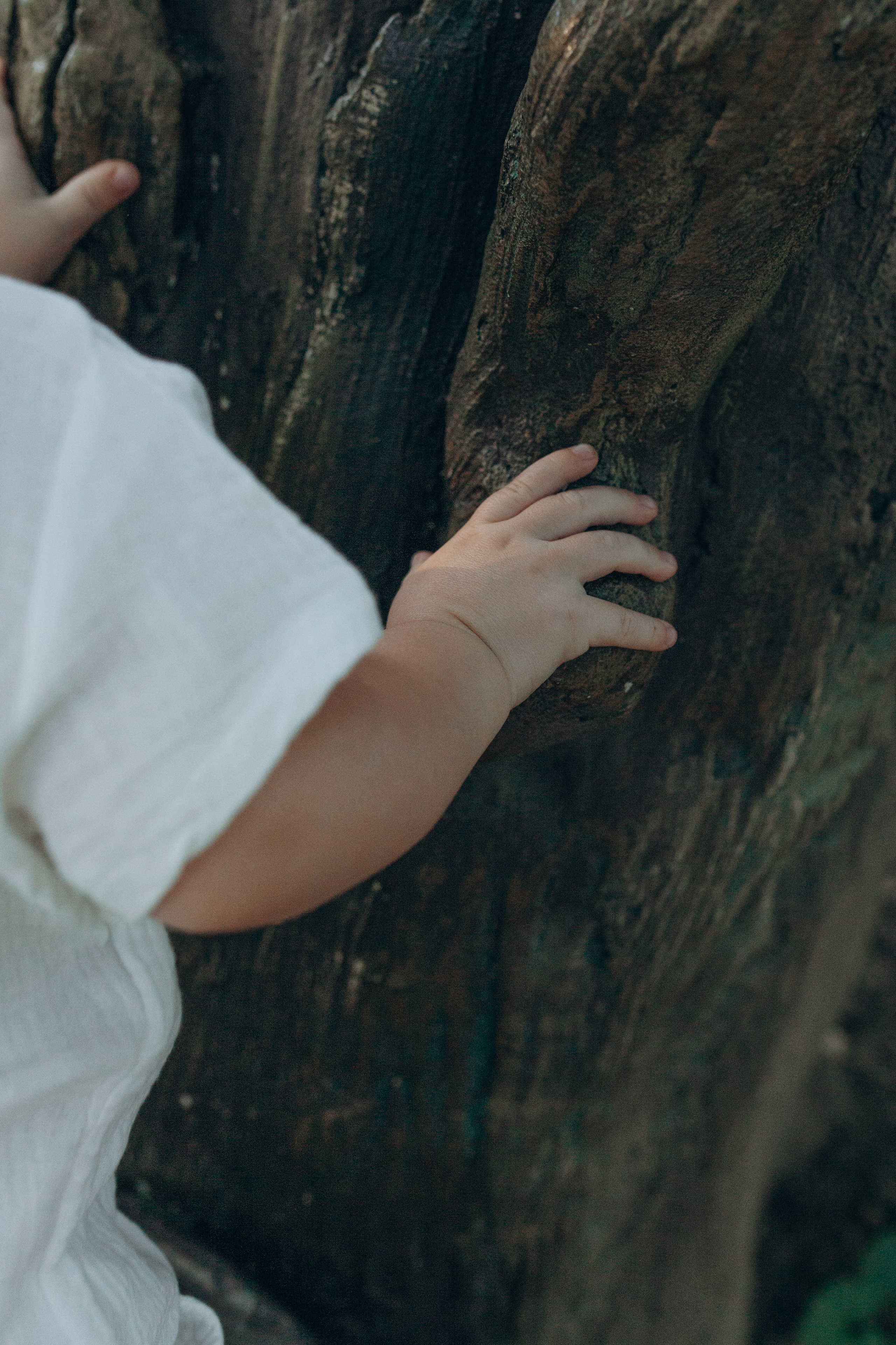 Оля и мальчишки. Семейный фотограф Полина Сарина Москва