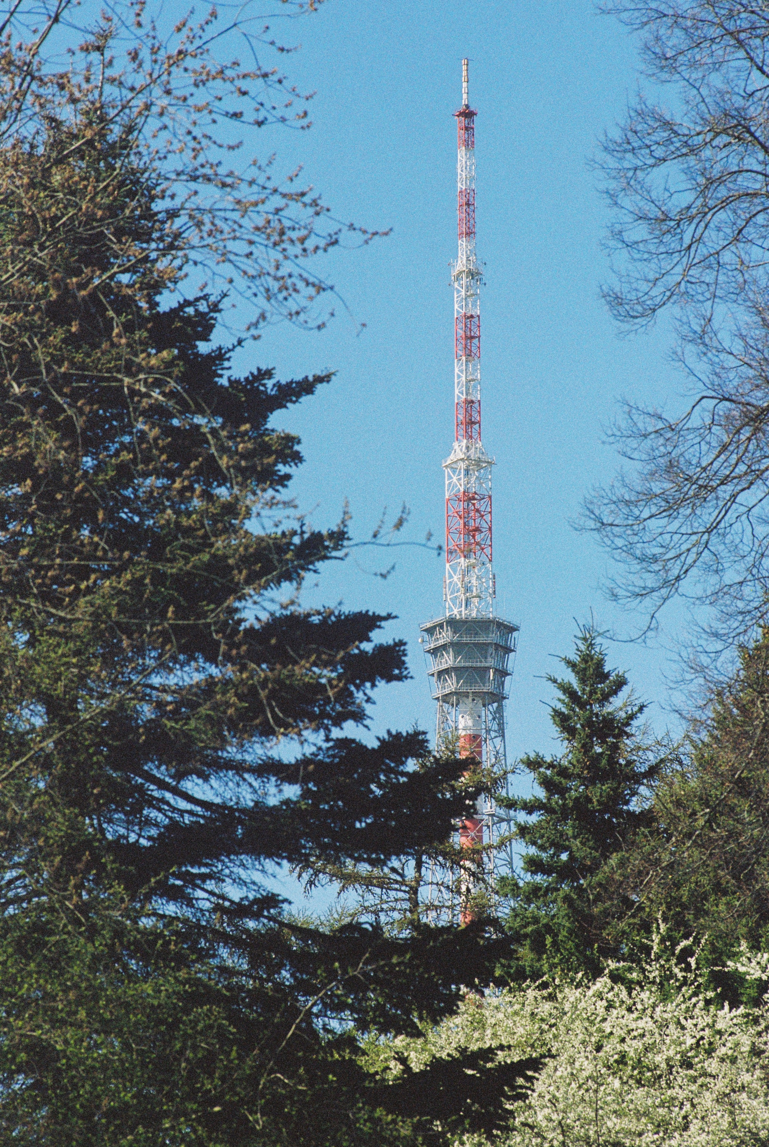 Плёночная весна 2025. Илья Михачёв Фотограф ПРО людей